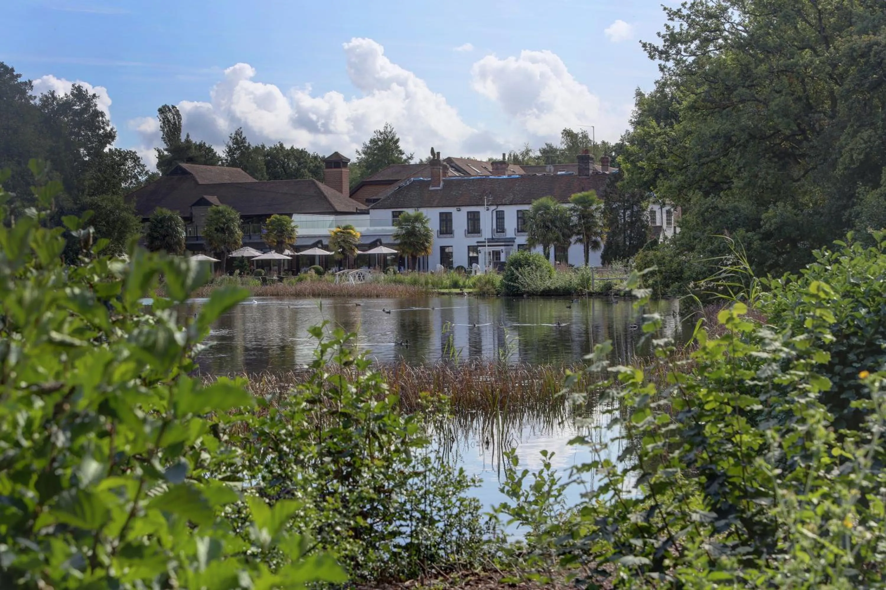 Facade/entrance in Frensham Pond Country House Hotel & Spa