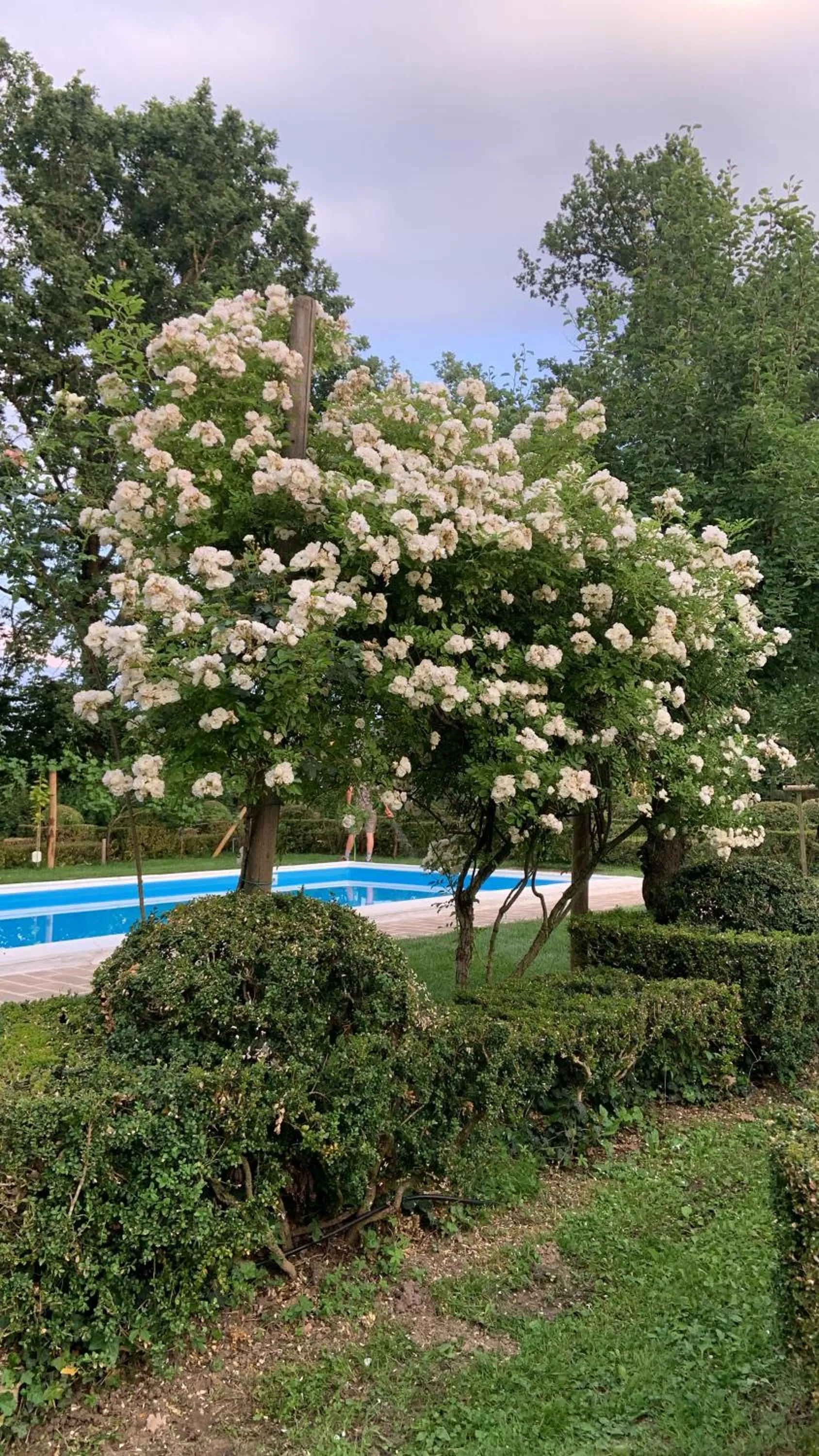 Pool view in Le dimore de Il borgo del balsamico