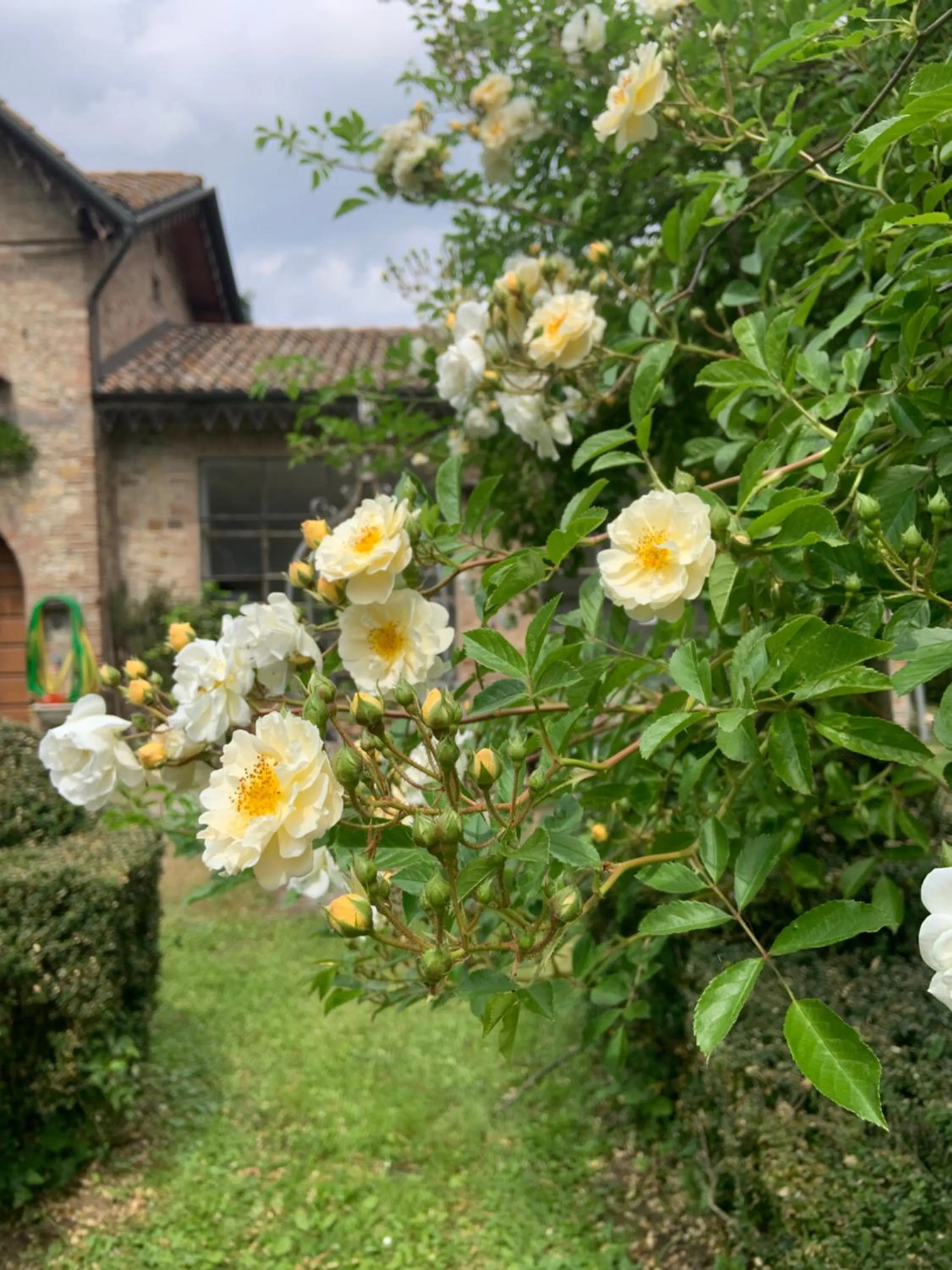 Garden in Le dimore de Il borgo del balsamico