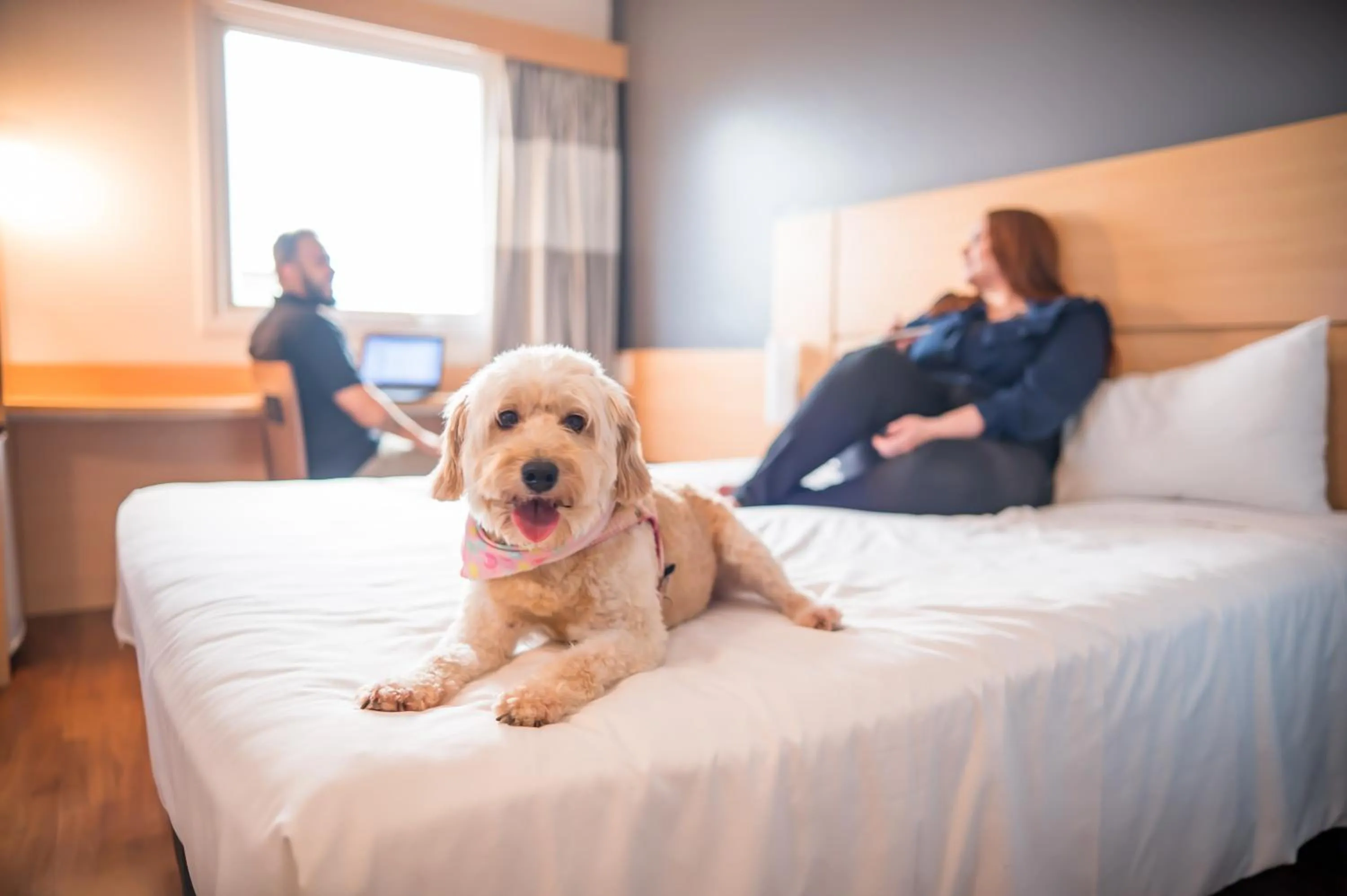 Bed in ibis Itu Plaza Shopping