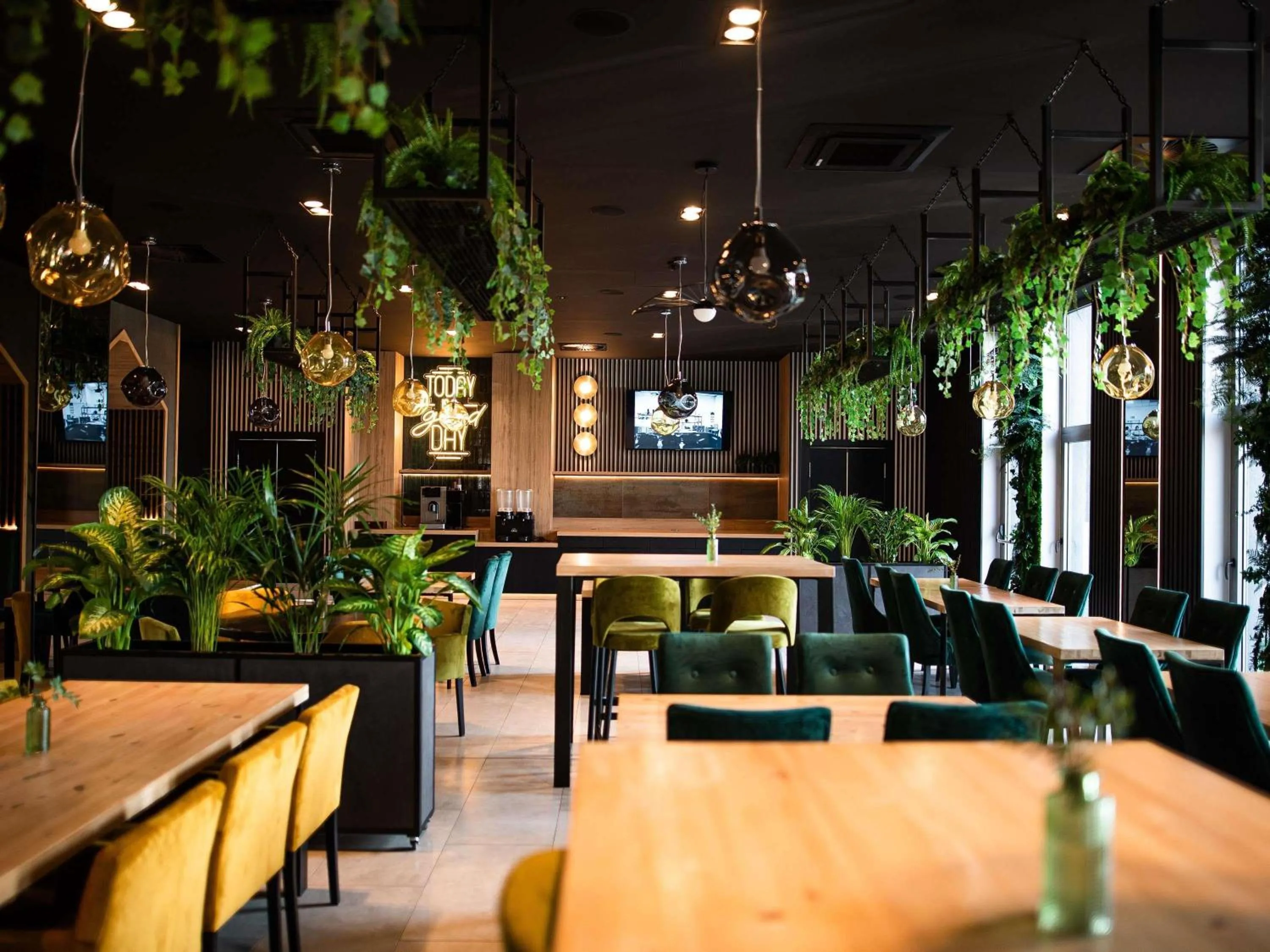 Lounge or bar in ibis styles Grudziadz