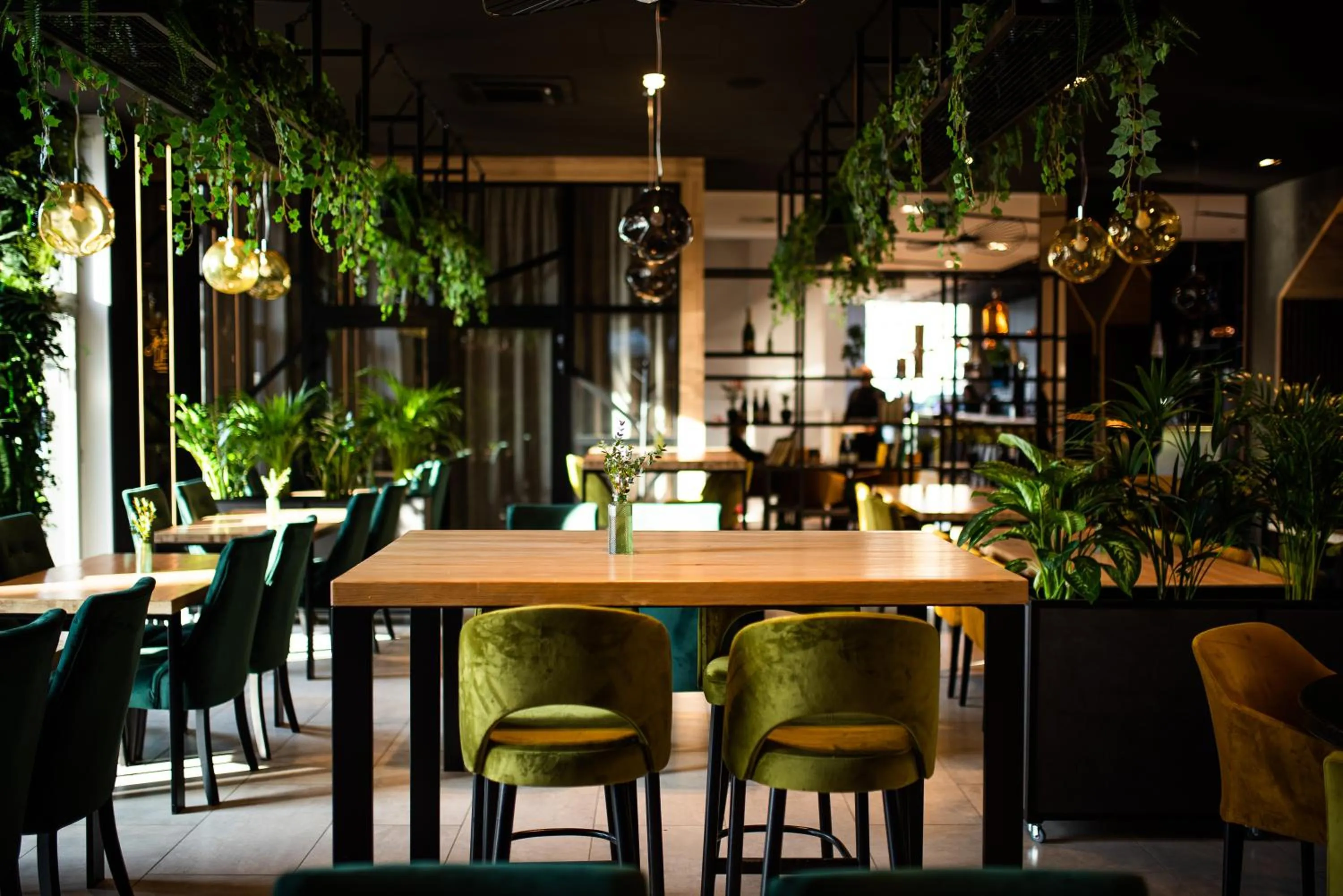 ibis styles Grudziadz