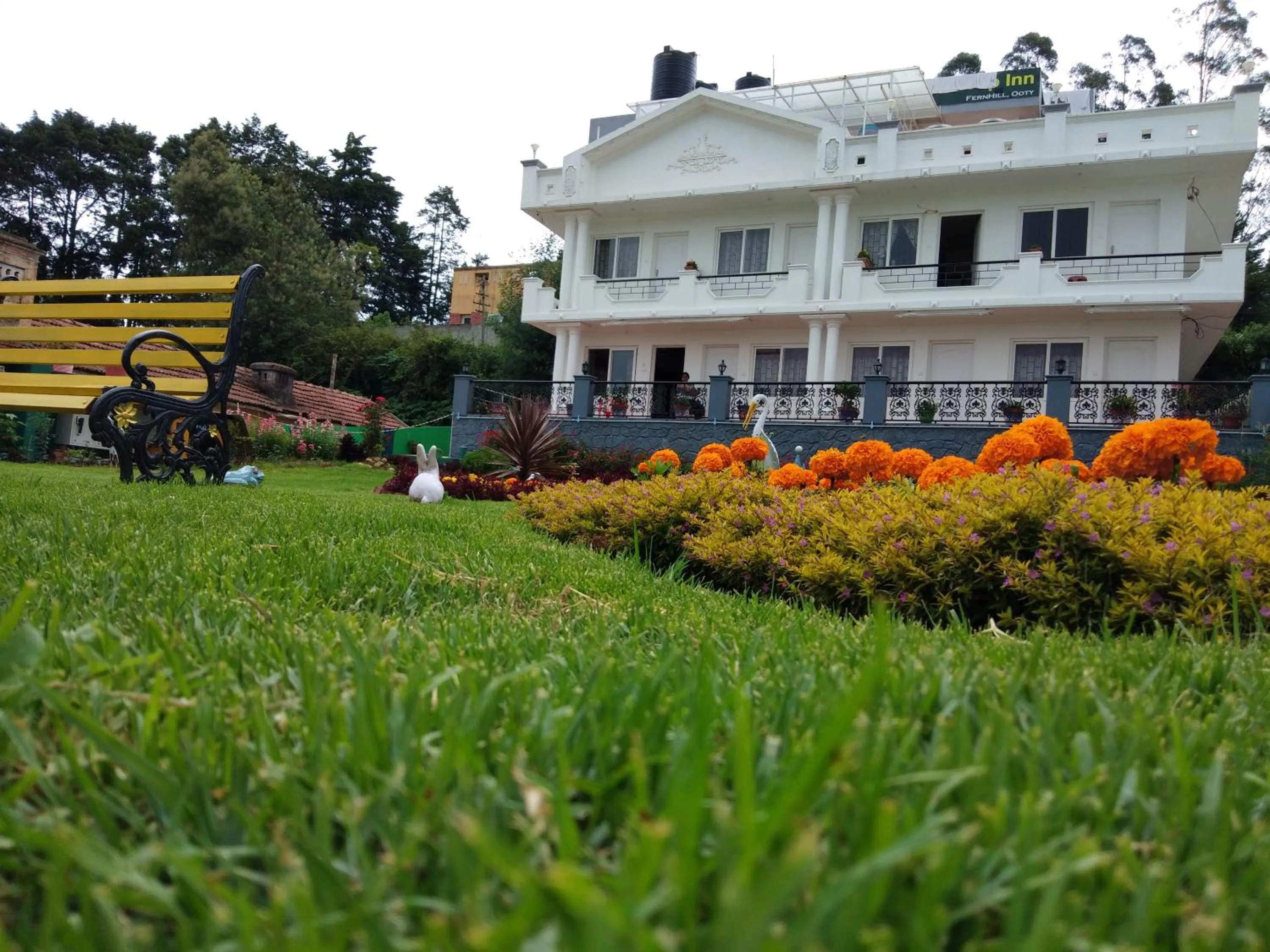 Breakfast in Drizzle Drop Inn