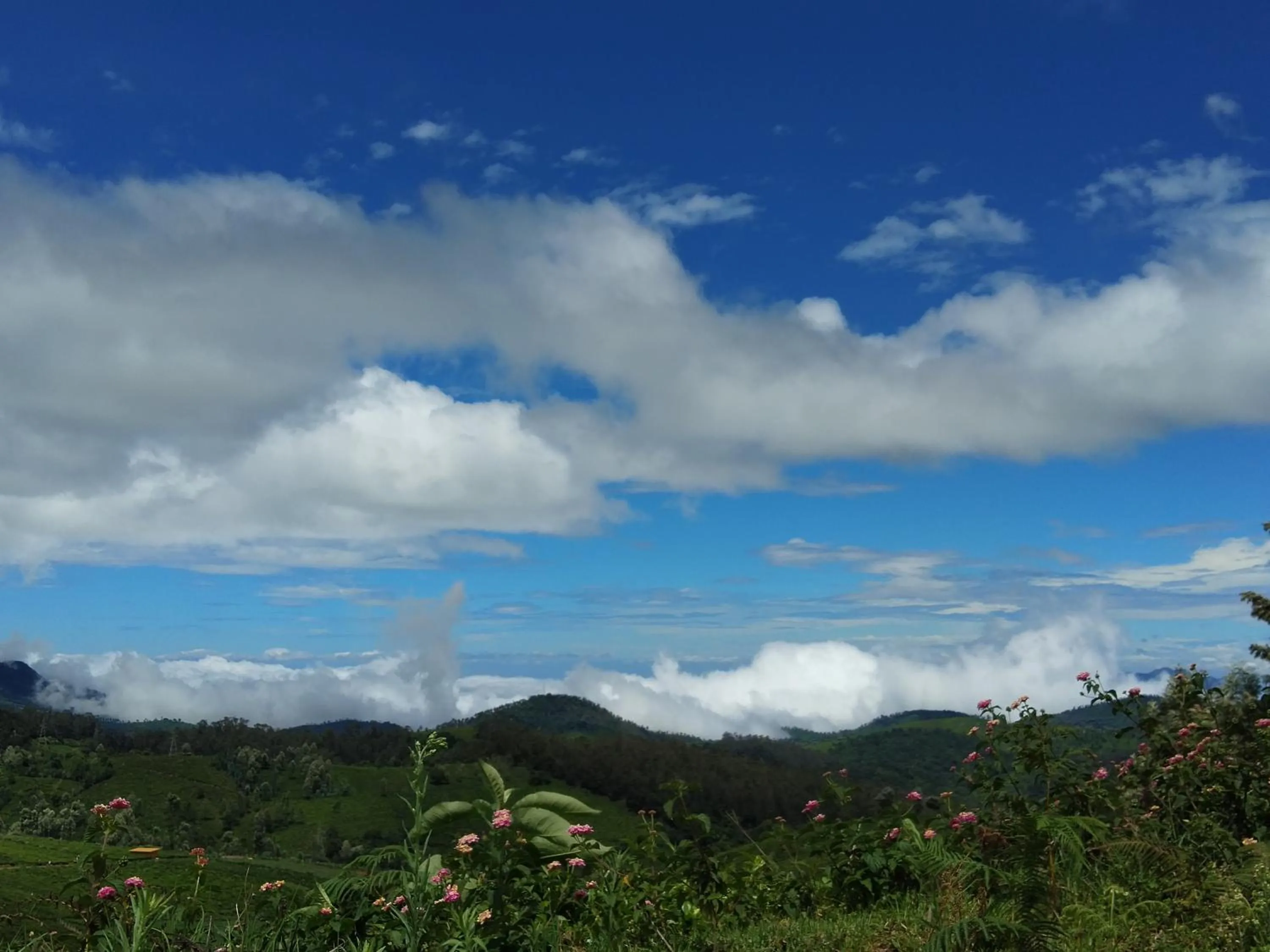 Breakfast in Drizzle Drop Inn