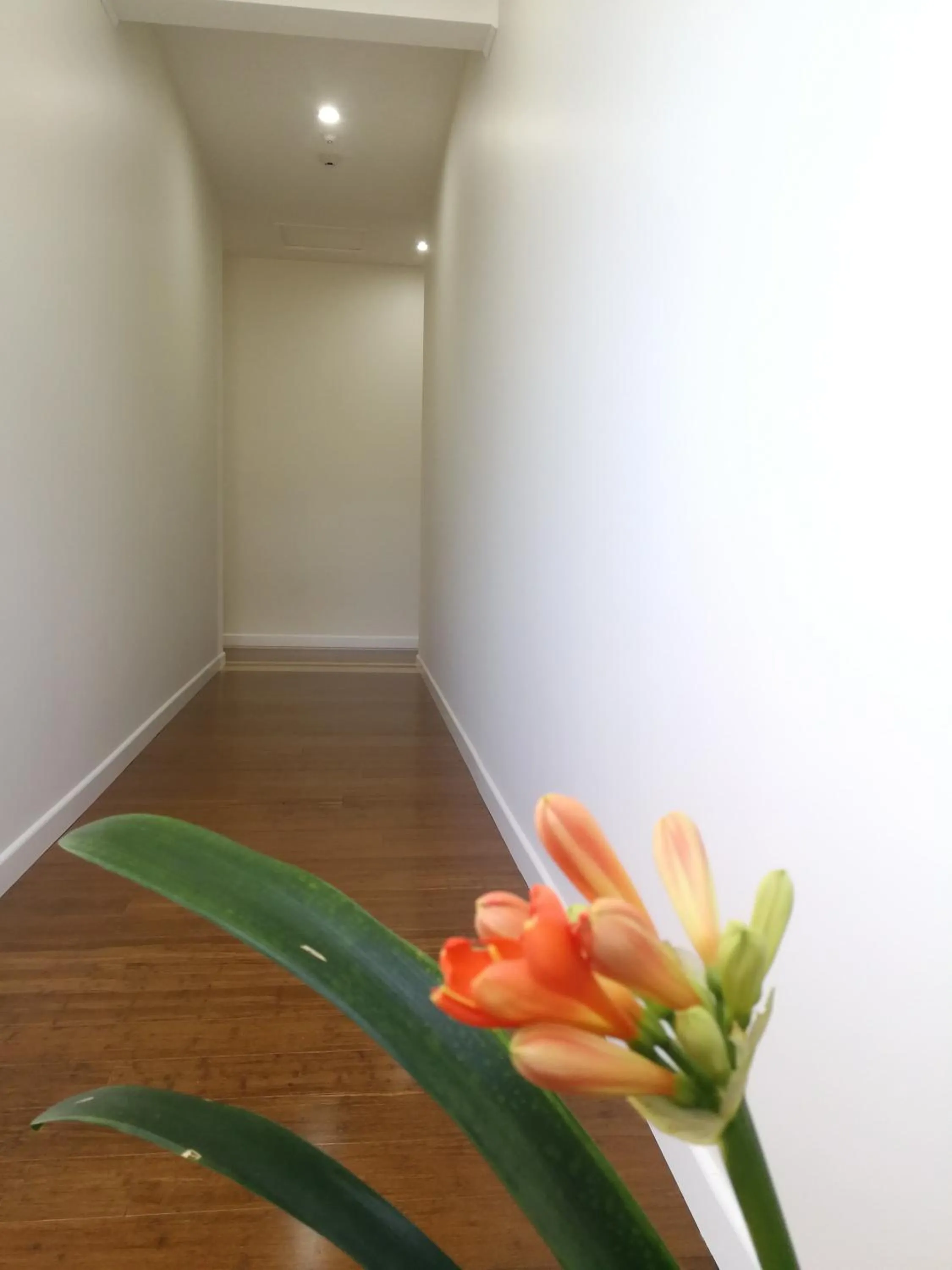 View (from property/room) in Oxford Queenette Backpackers