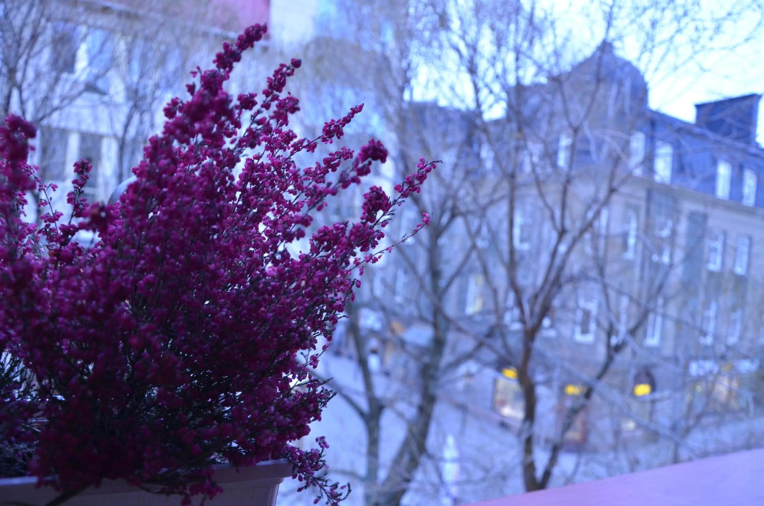 Winter in Hotell Zäta Longstay