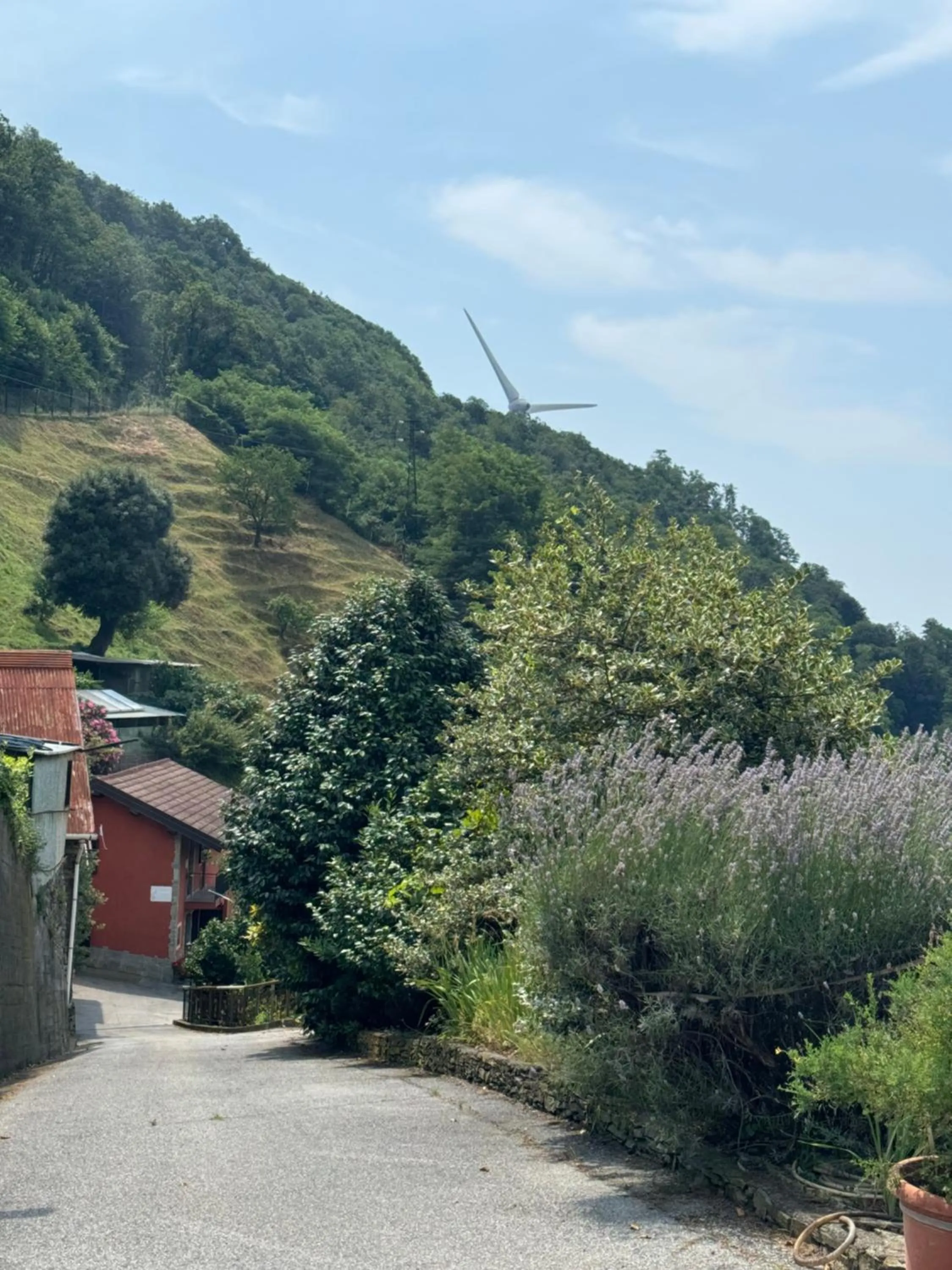 Quiet street view in B&b Al Ciliegio Del Turchino