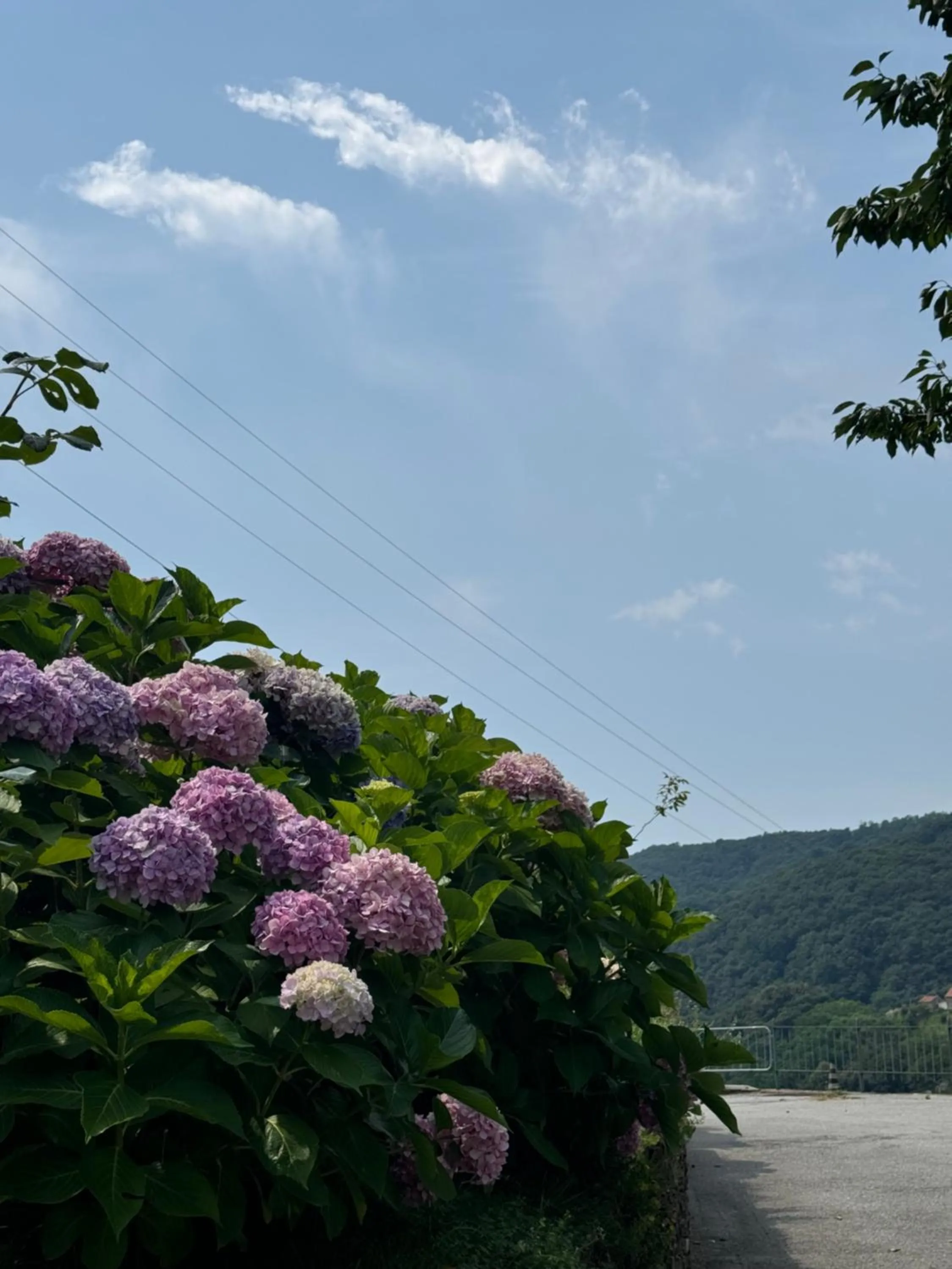 Day in B&b Al Ciliegio Del Turchino