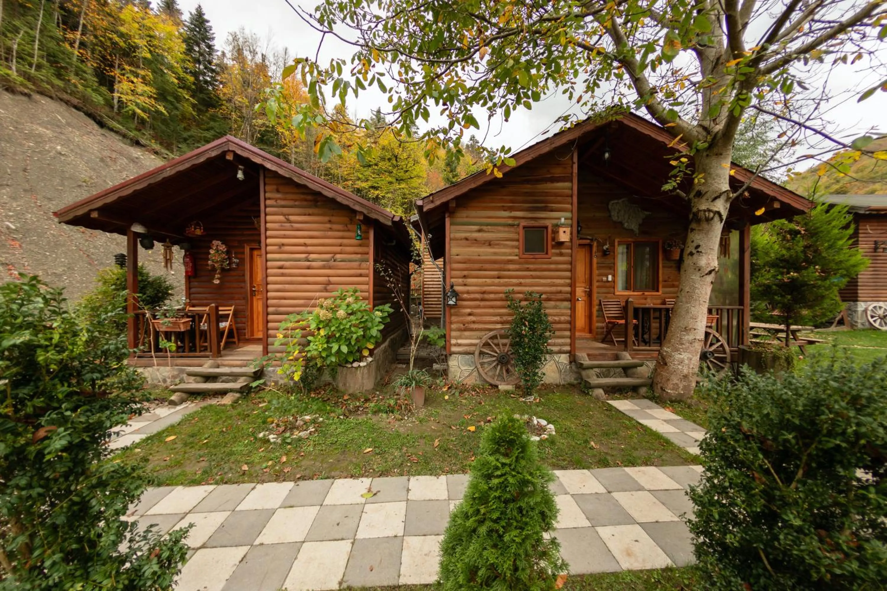 Garden in Abant Doğa Köşkü