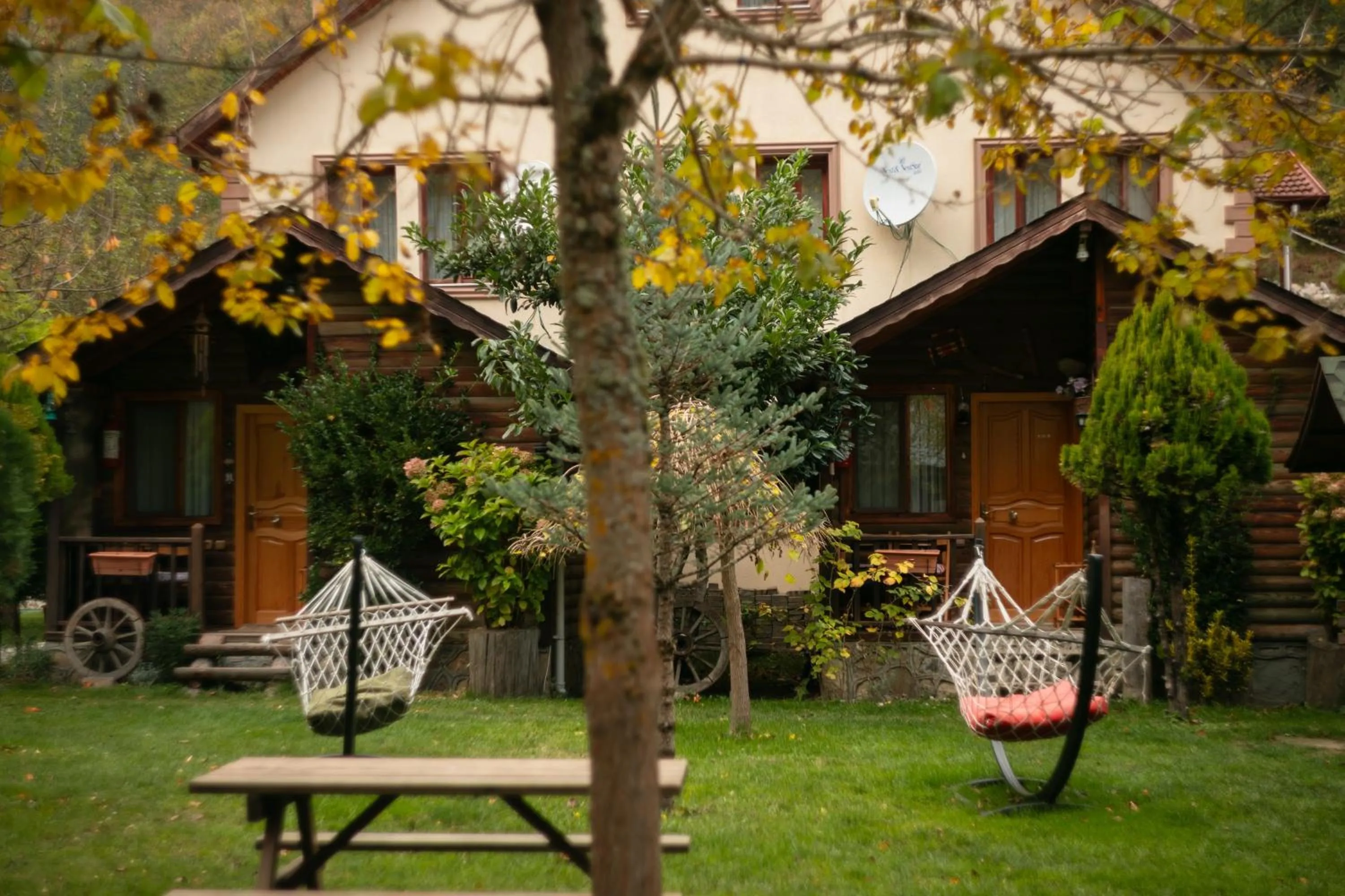 Day in Abant Doğa Köşkü