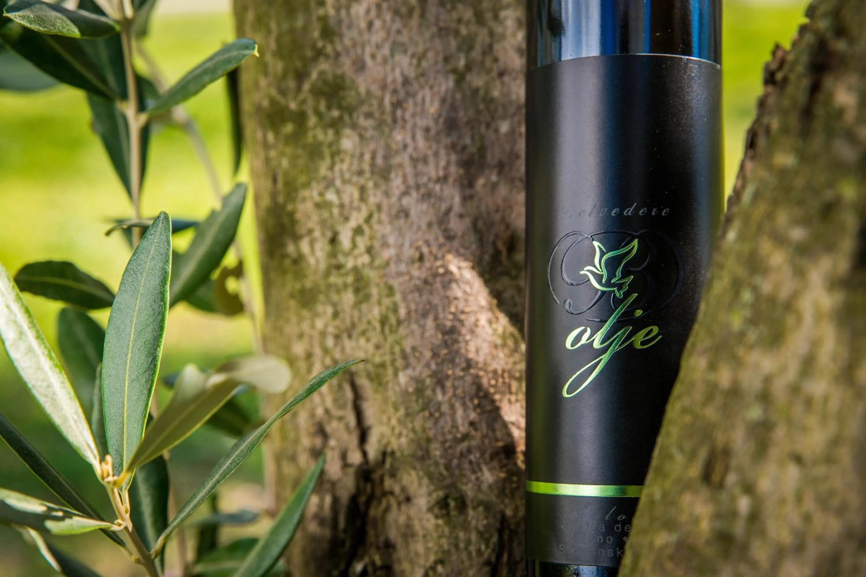 Other in Hotel Cliff Belvedere