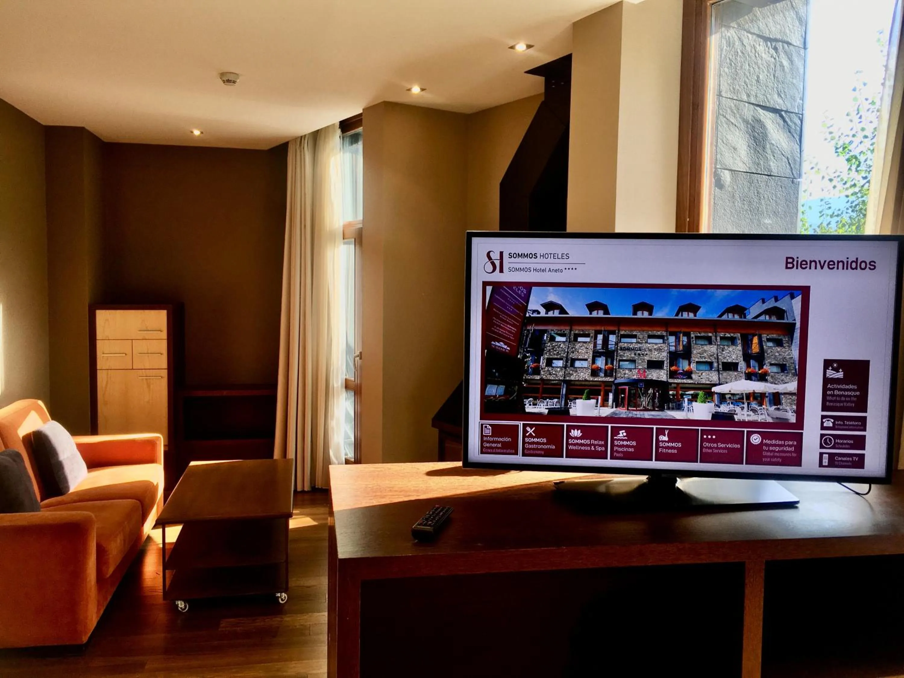 Decorative detail in SOMMOS Hotel Aneto