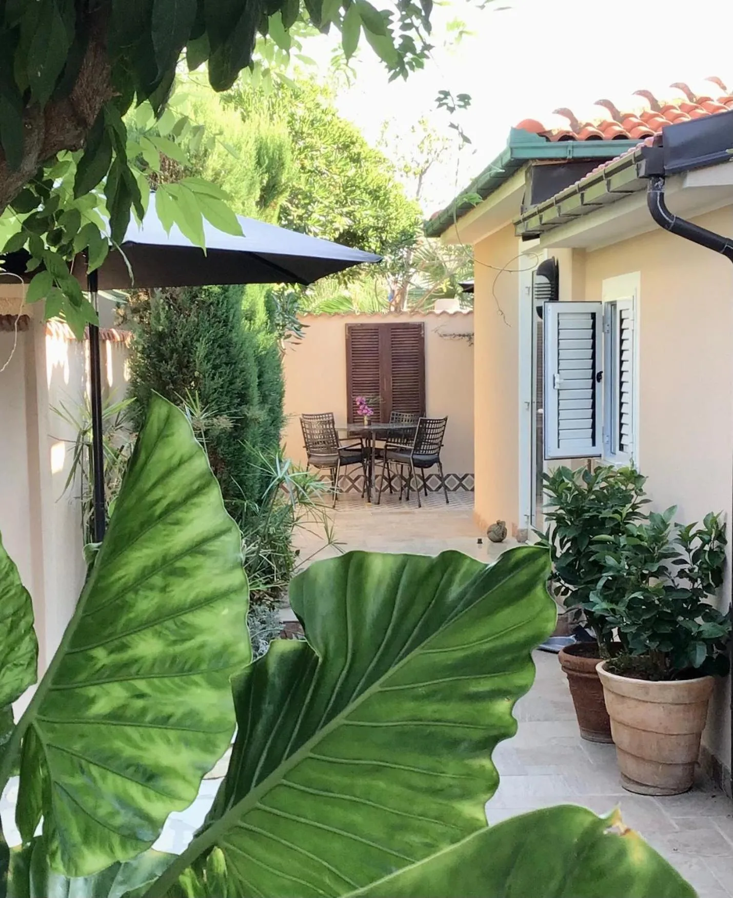 Garden in Villa Lantana
