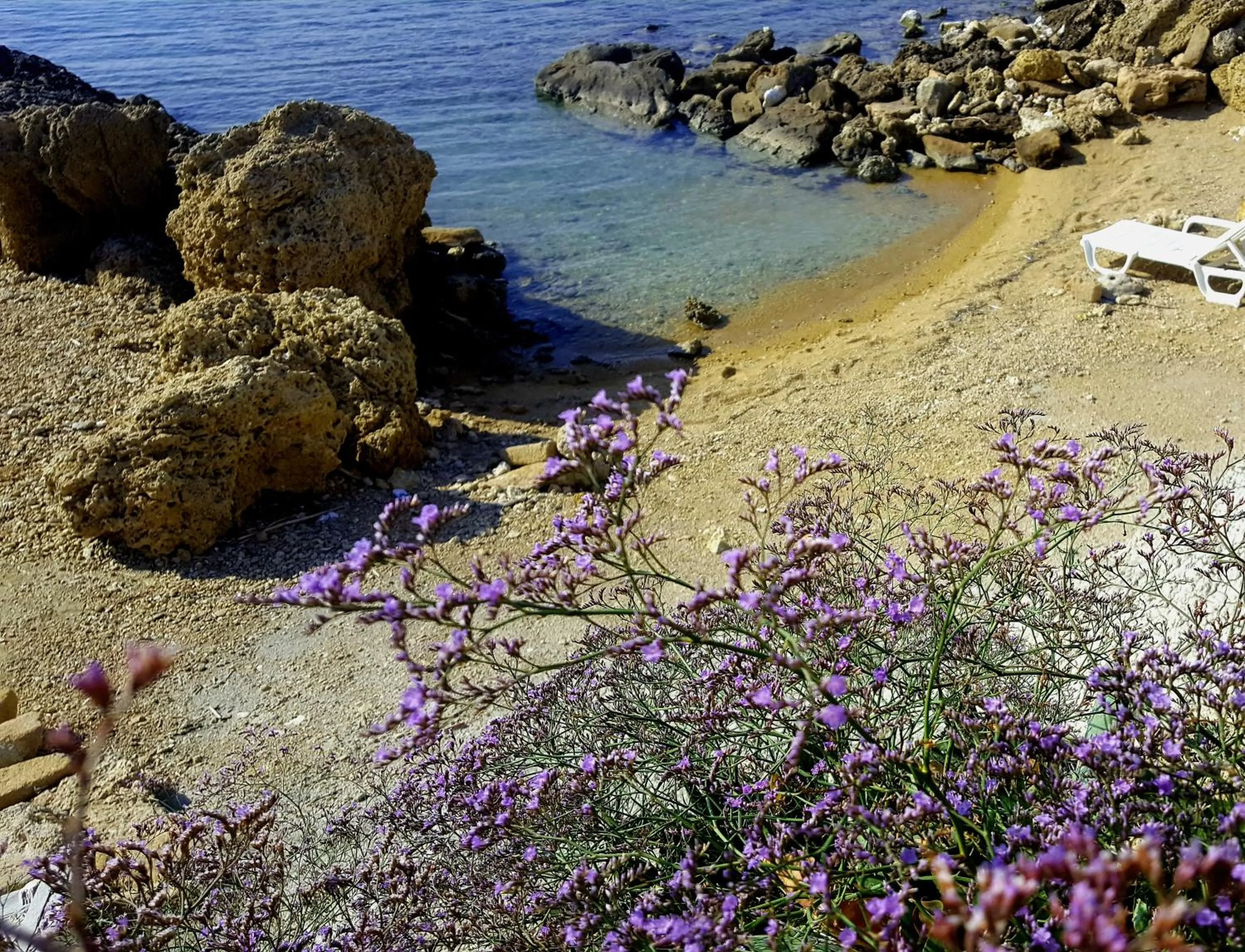 Natural landscape in Residence "Il Faro"