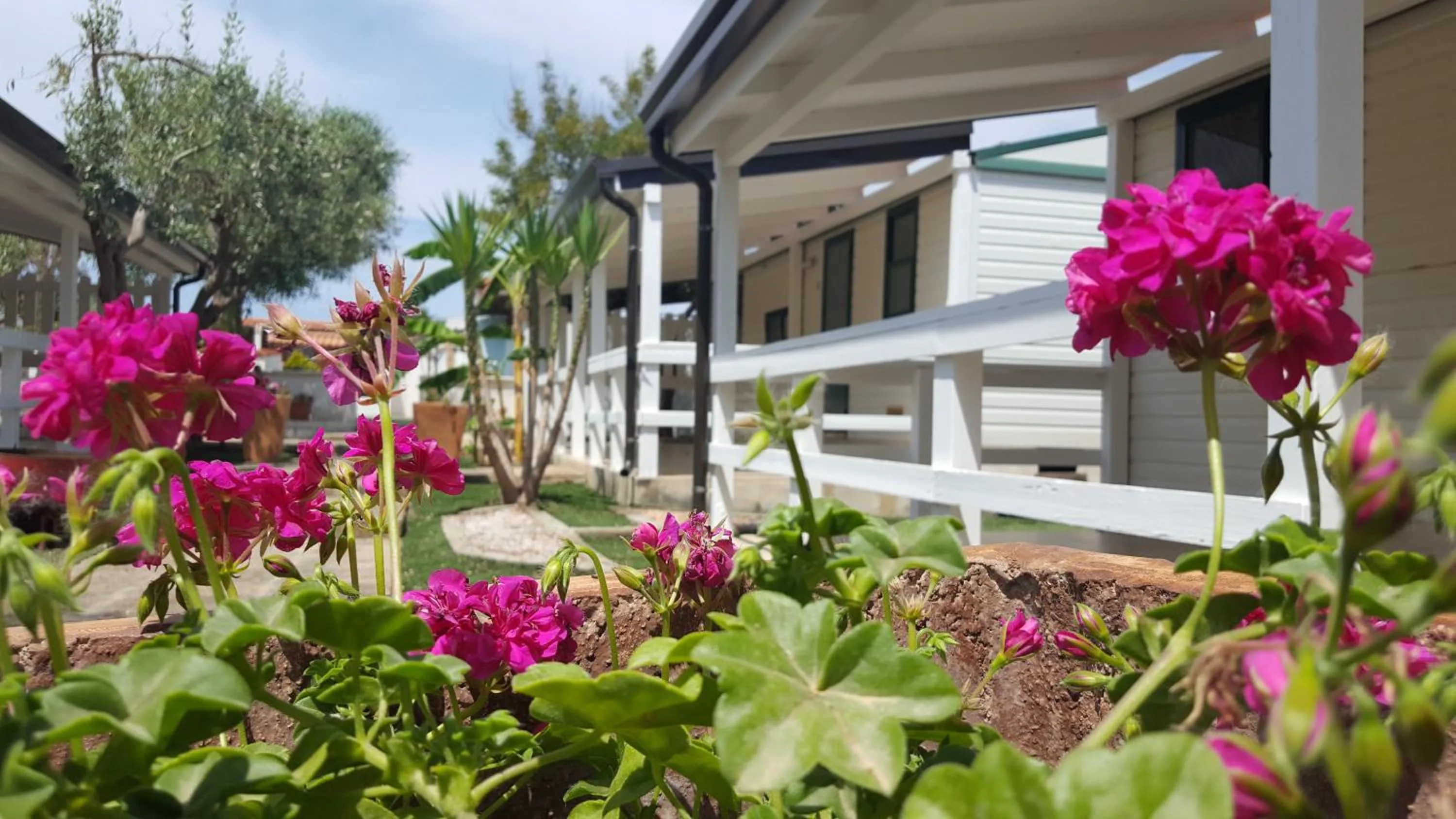 Garden view in Residence "Il Faro"