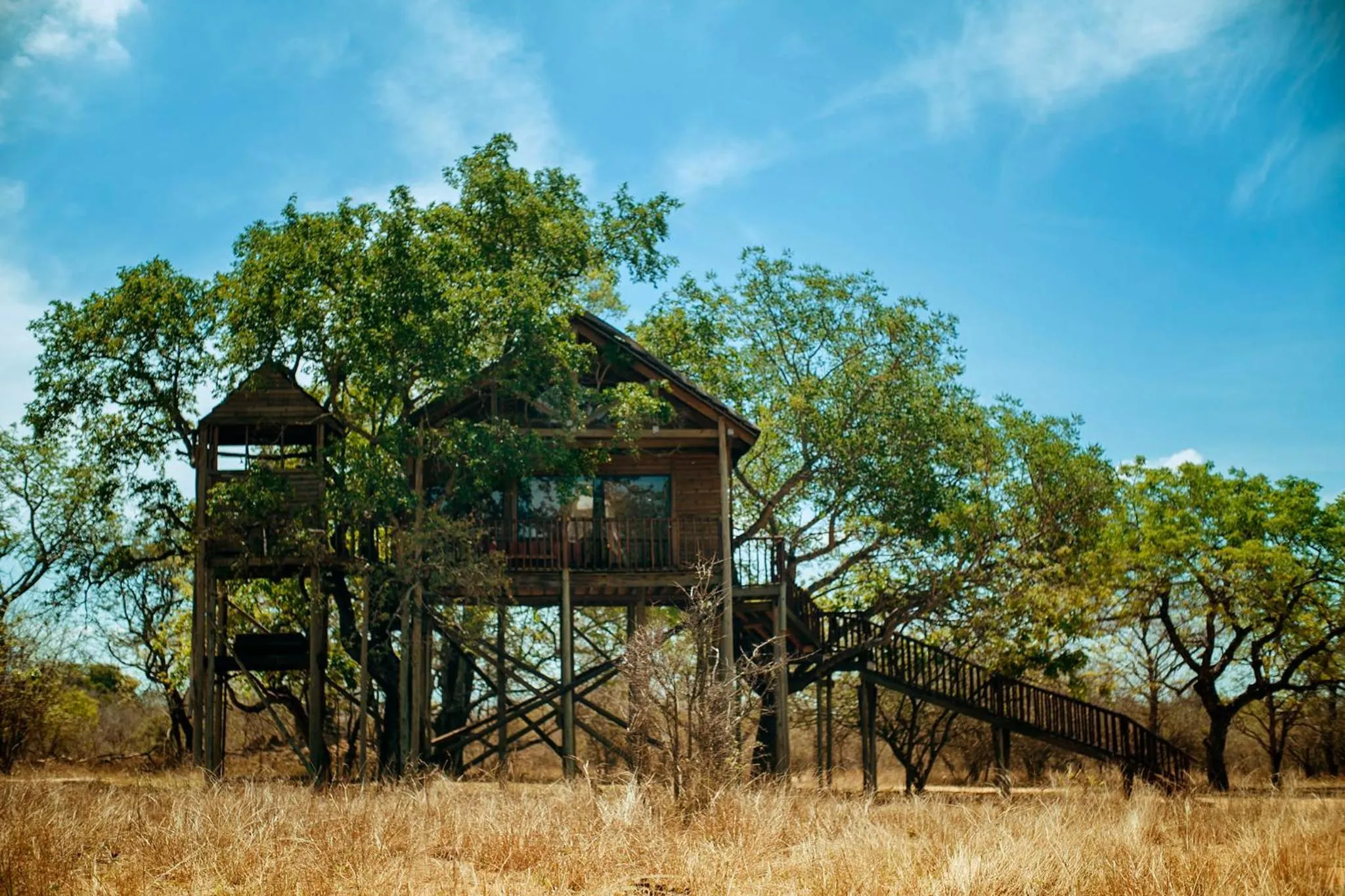 Photo of the whole room in Pezulu Tree House Lodge