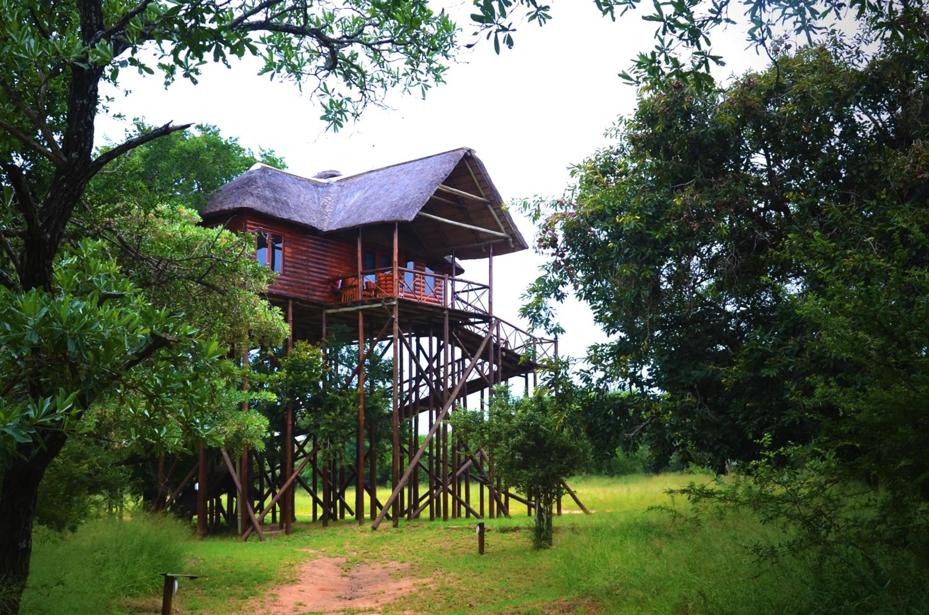 Property building in Pezulu Tree House Lodge