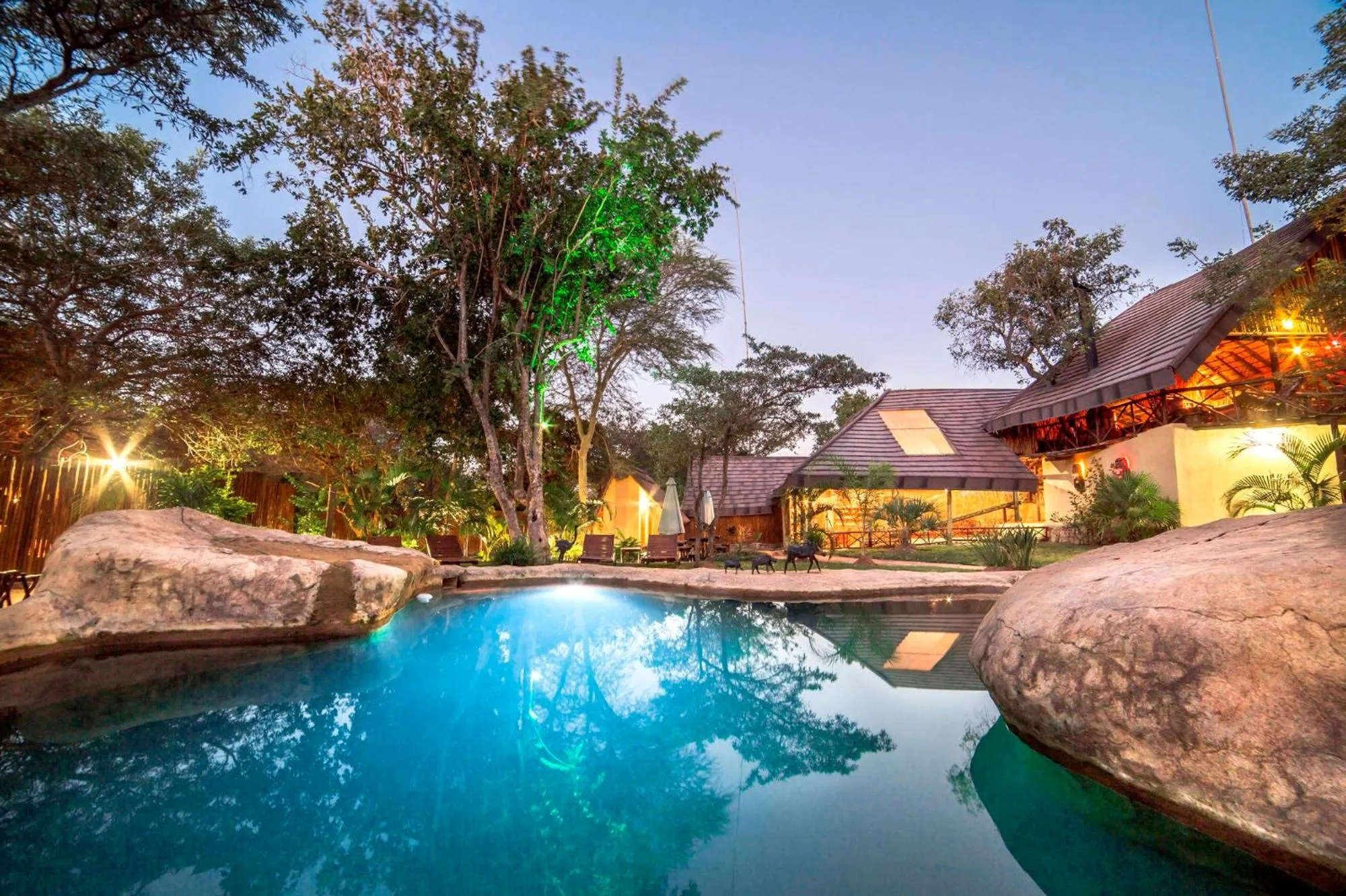 Swimming pool in Pezulu Tree House Lodge