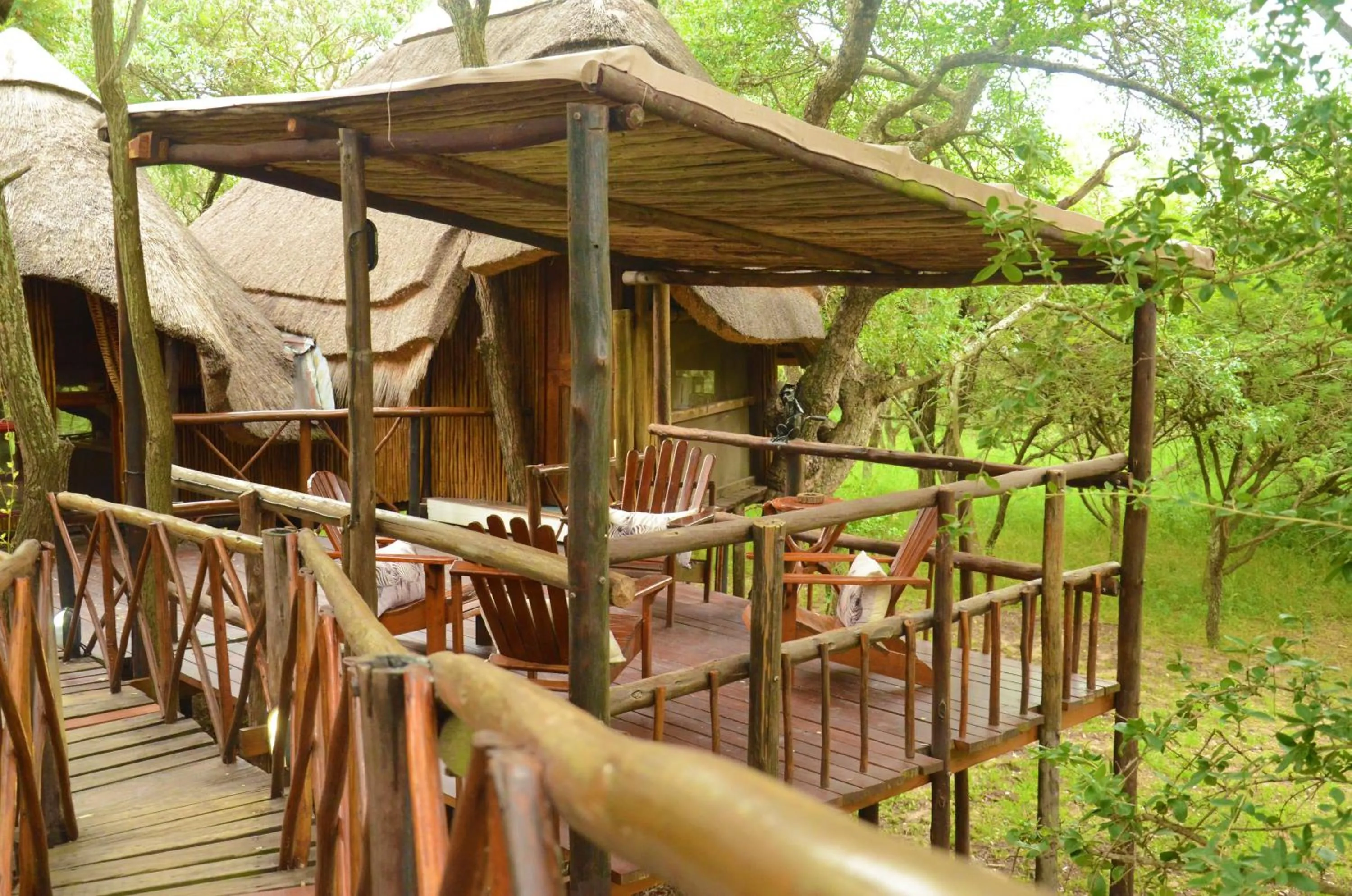 Balcony/Terrace in Pezulu Tree House Lodge