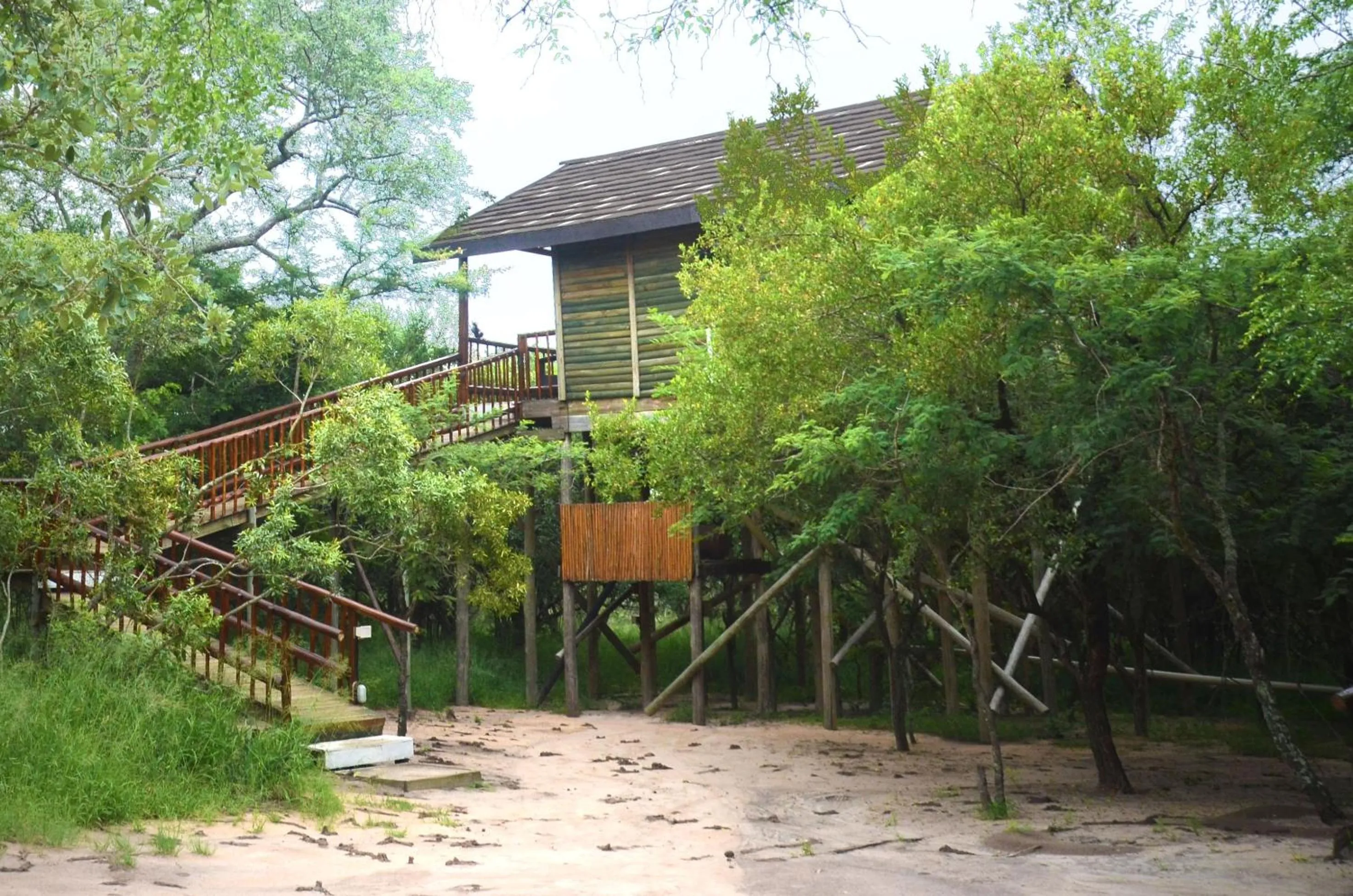 Property building in Pezulu Tree House Lodge