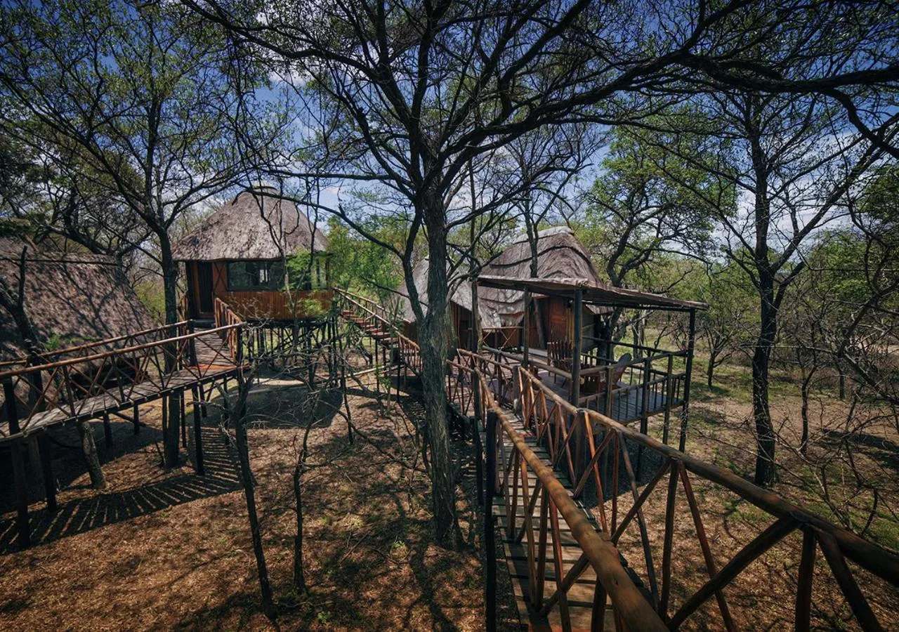 Property building in Pezulu Tree House Lodge