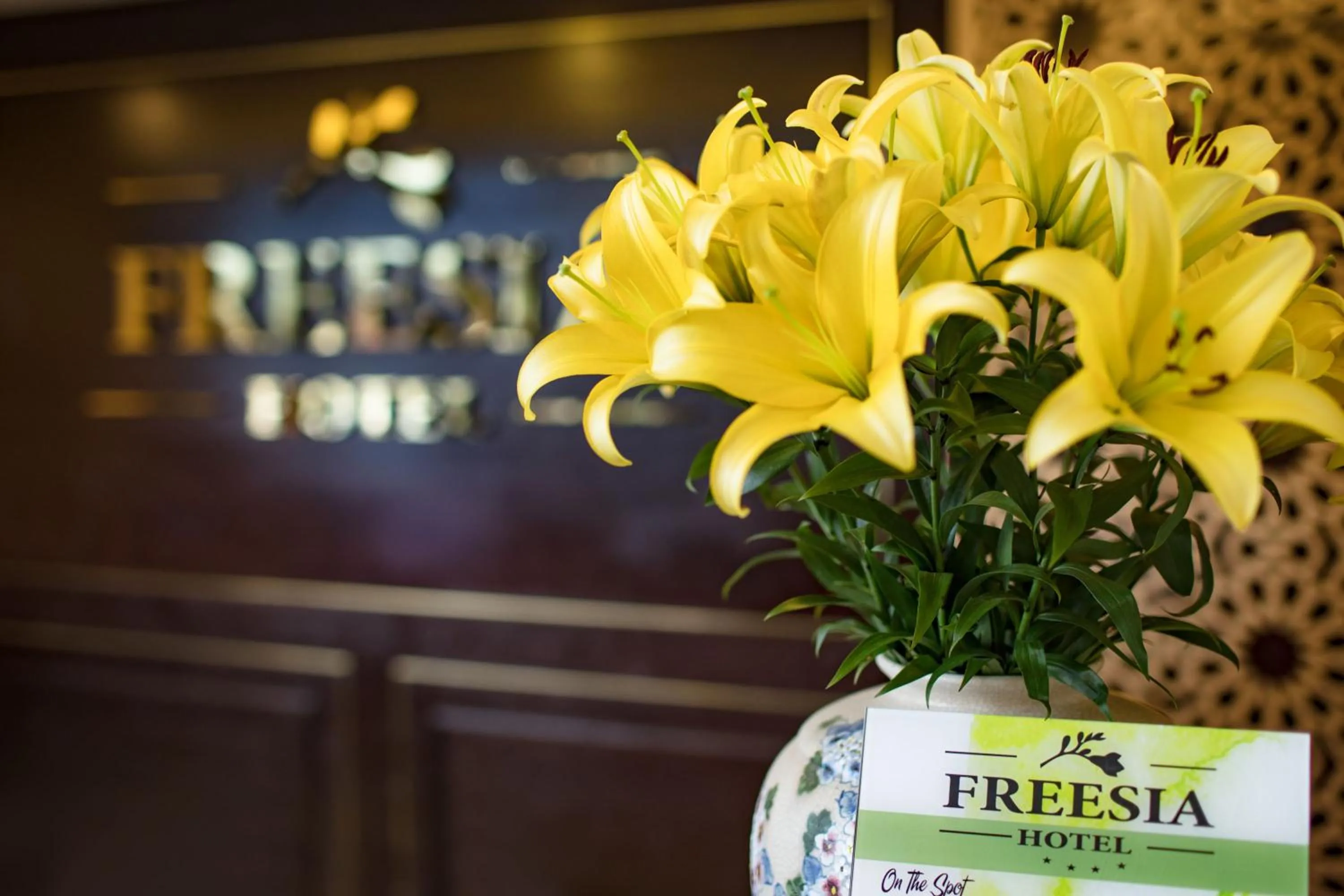 Lobby or reception in Sapa Freesia Hotel