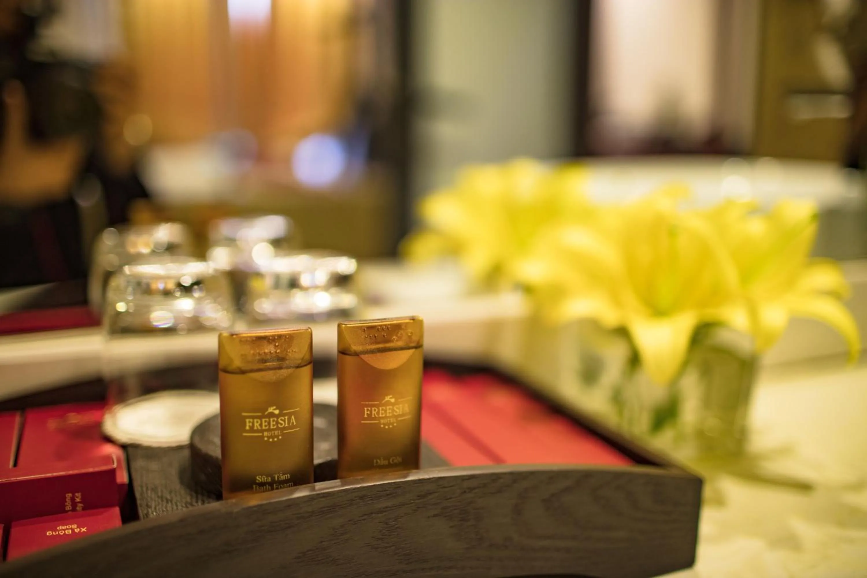 Other in Sapa Freesia Hotel