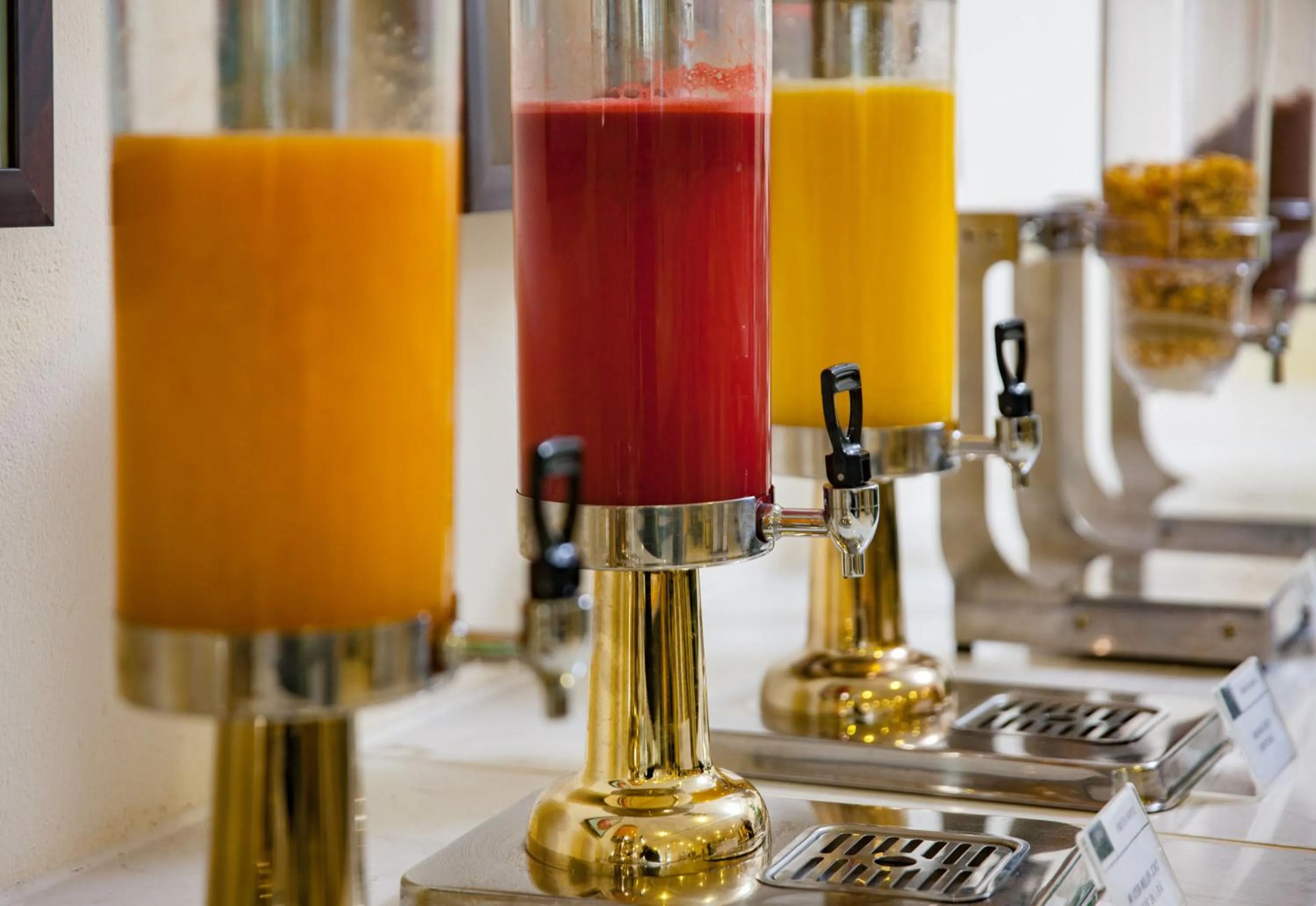 Restaurant/places to eat in Sapa Freesia Hotel