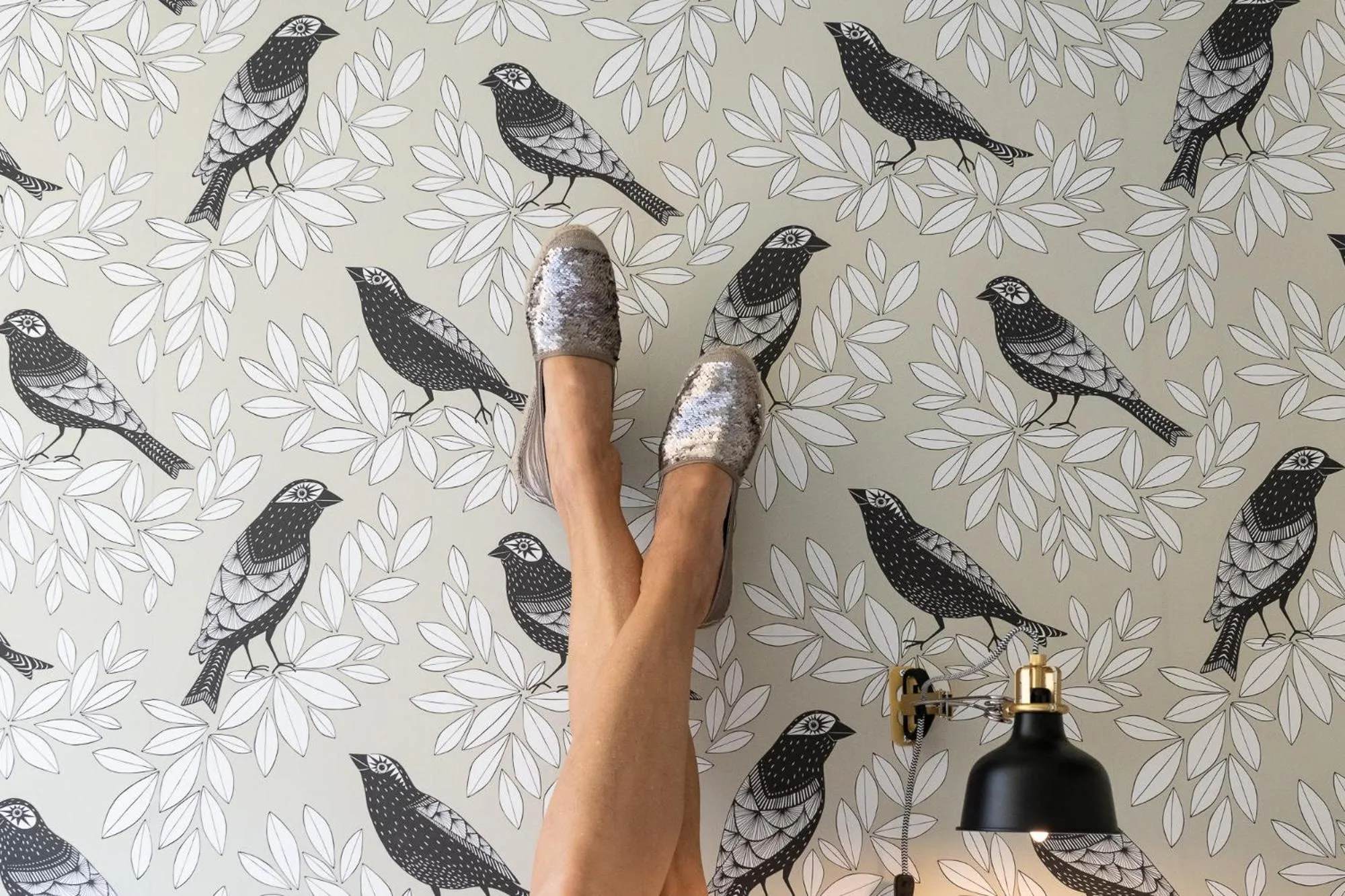 Photo of the whole room in Renthof Kassel