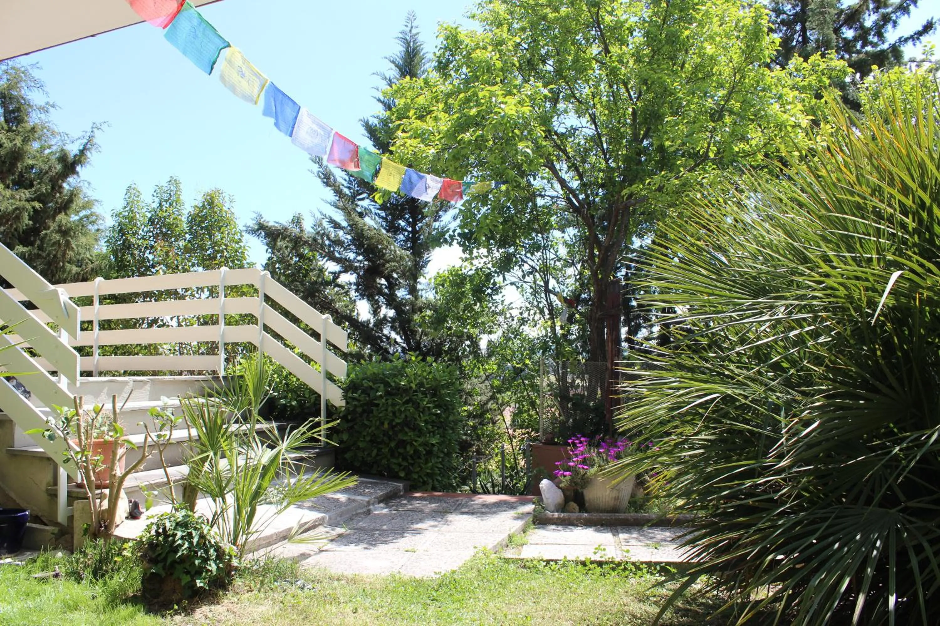 Garden in Home Meditamondo