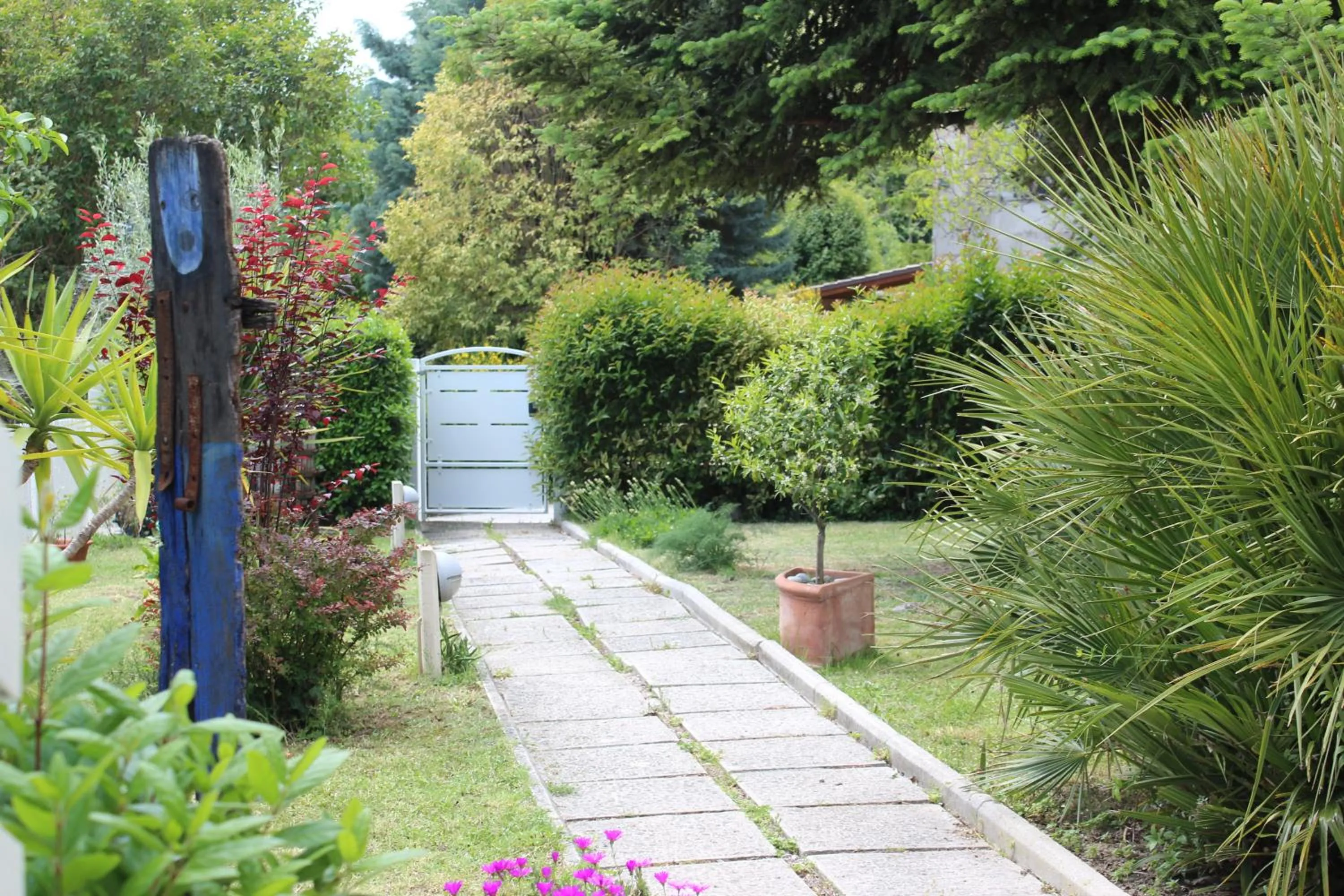 Garden in Home Meditamondo