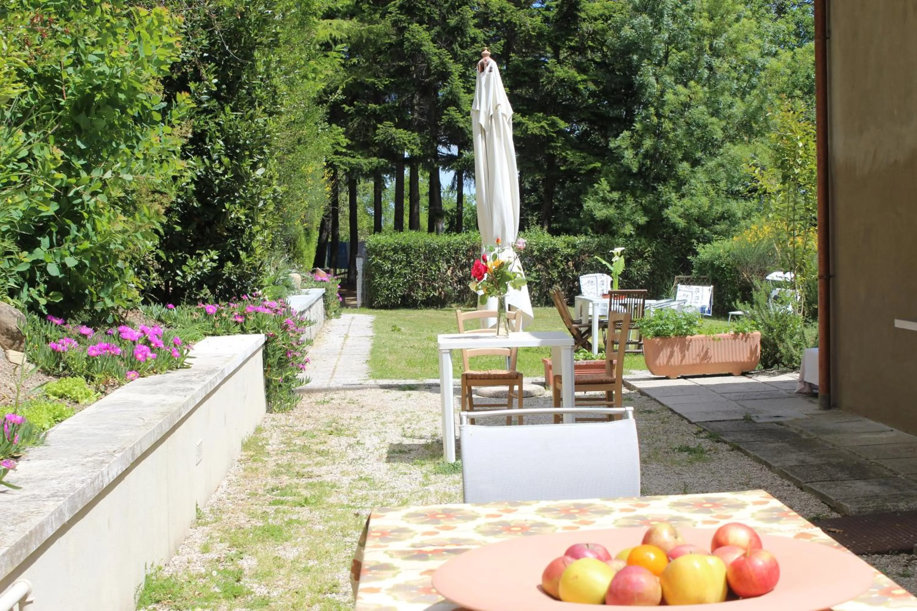 Garden in Home Meditamondo
