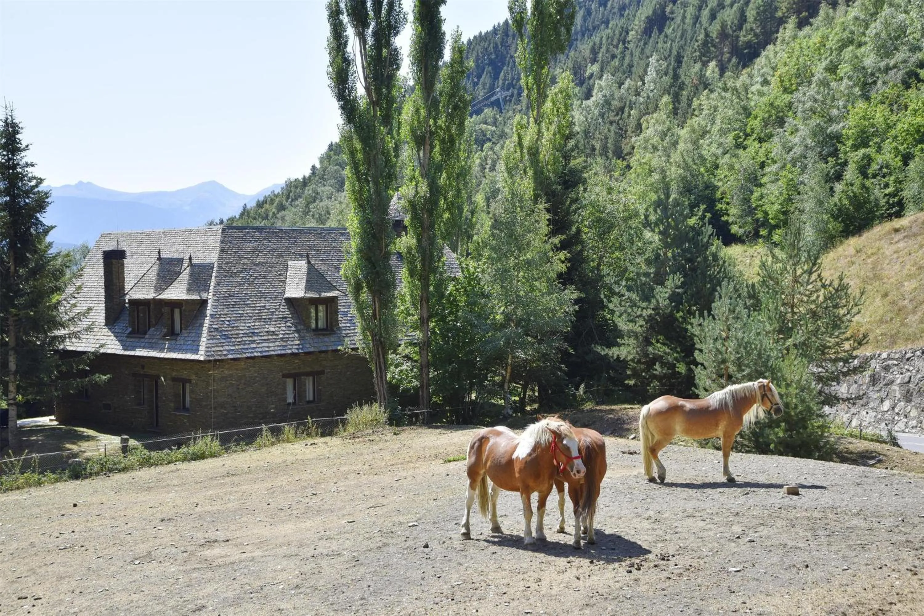 Property building in NH Collection Andorra Palomé