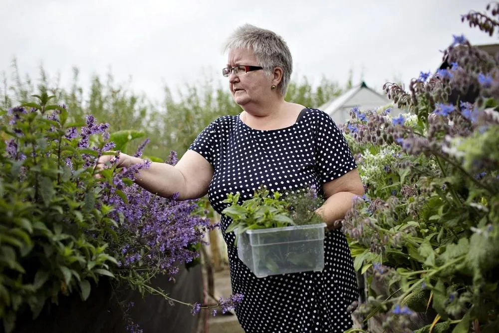 People in Stenbjerg Kro & Badehotel