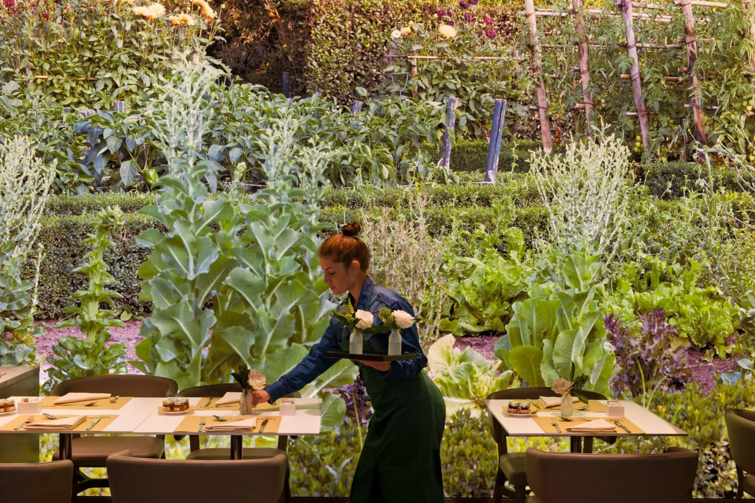 Restaurant/places to eat in Starhotels Echo