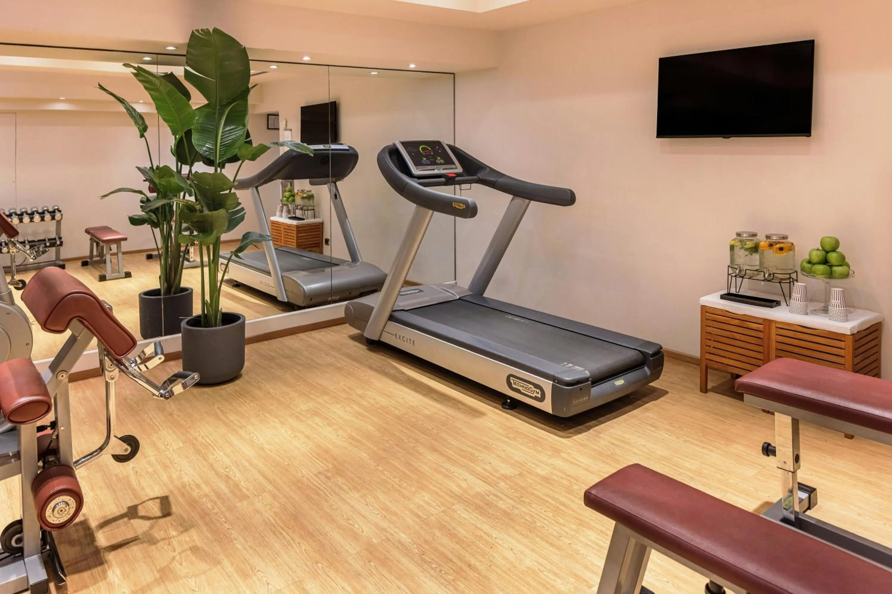 Fitness centre/facilities in Starhotels Metropole