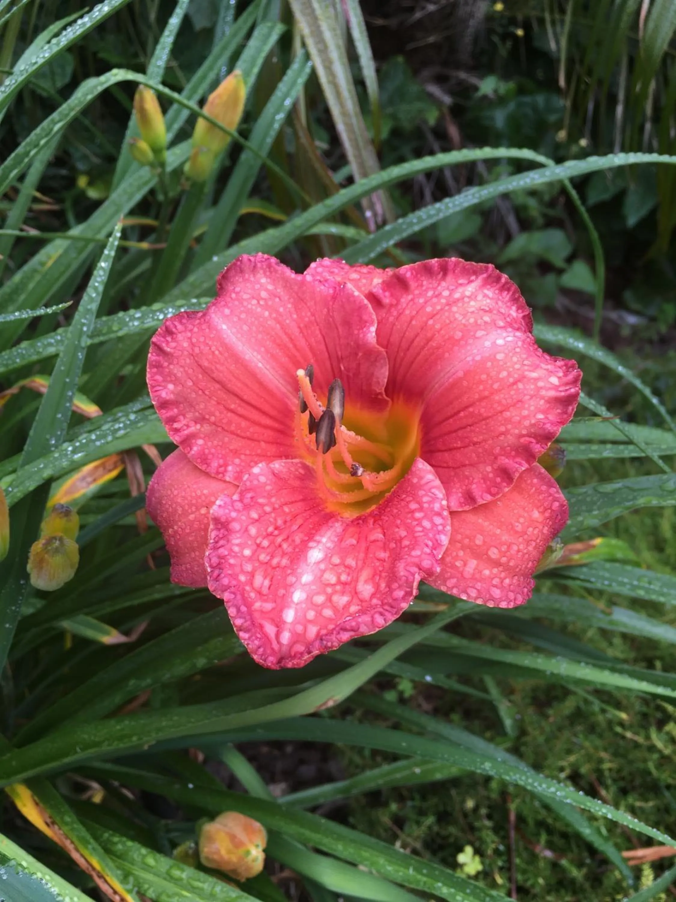 Waiheke Island Motel