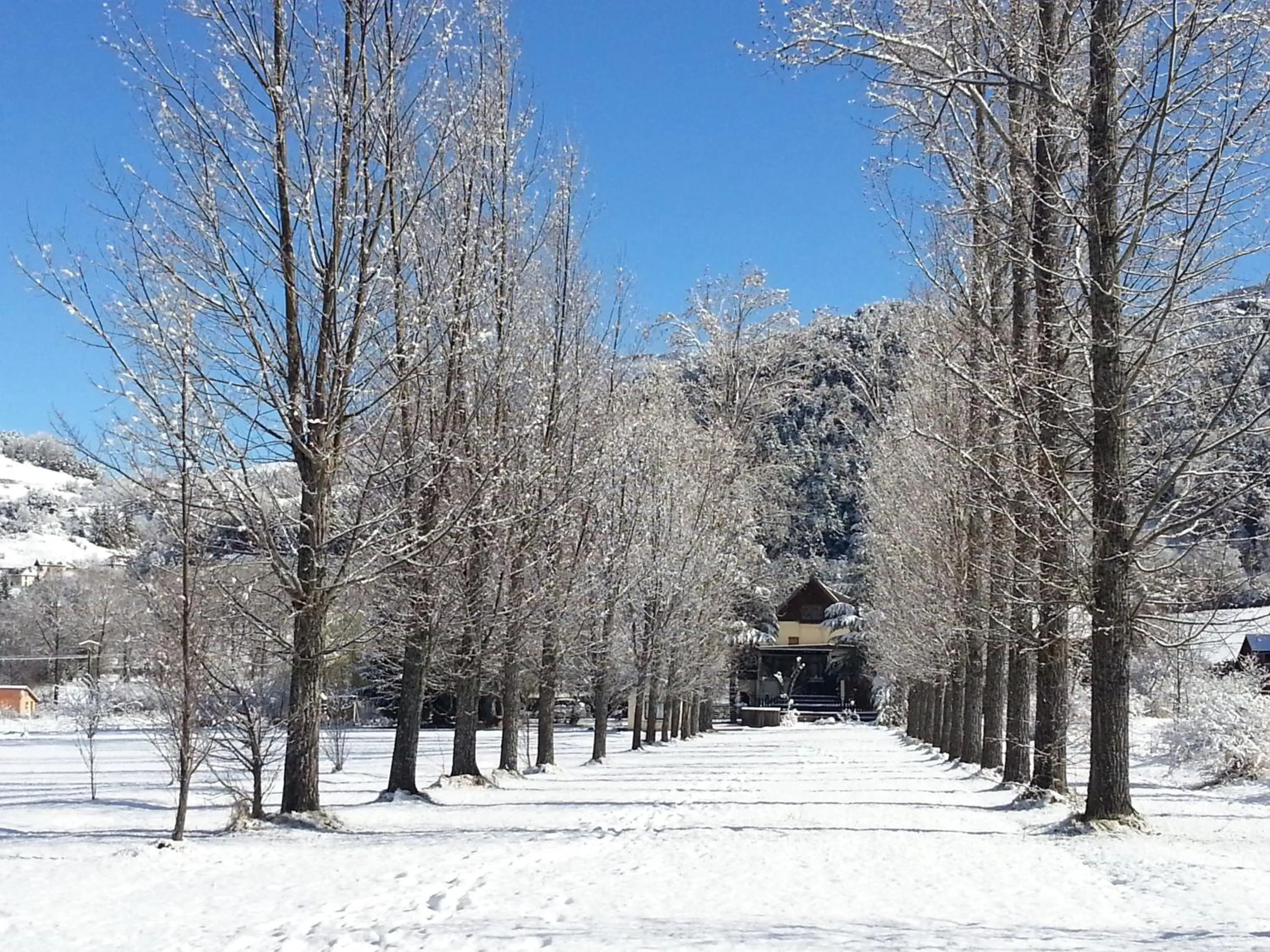 Winter in Le Vieux Tilleul