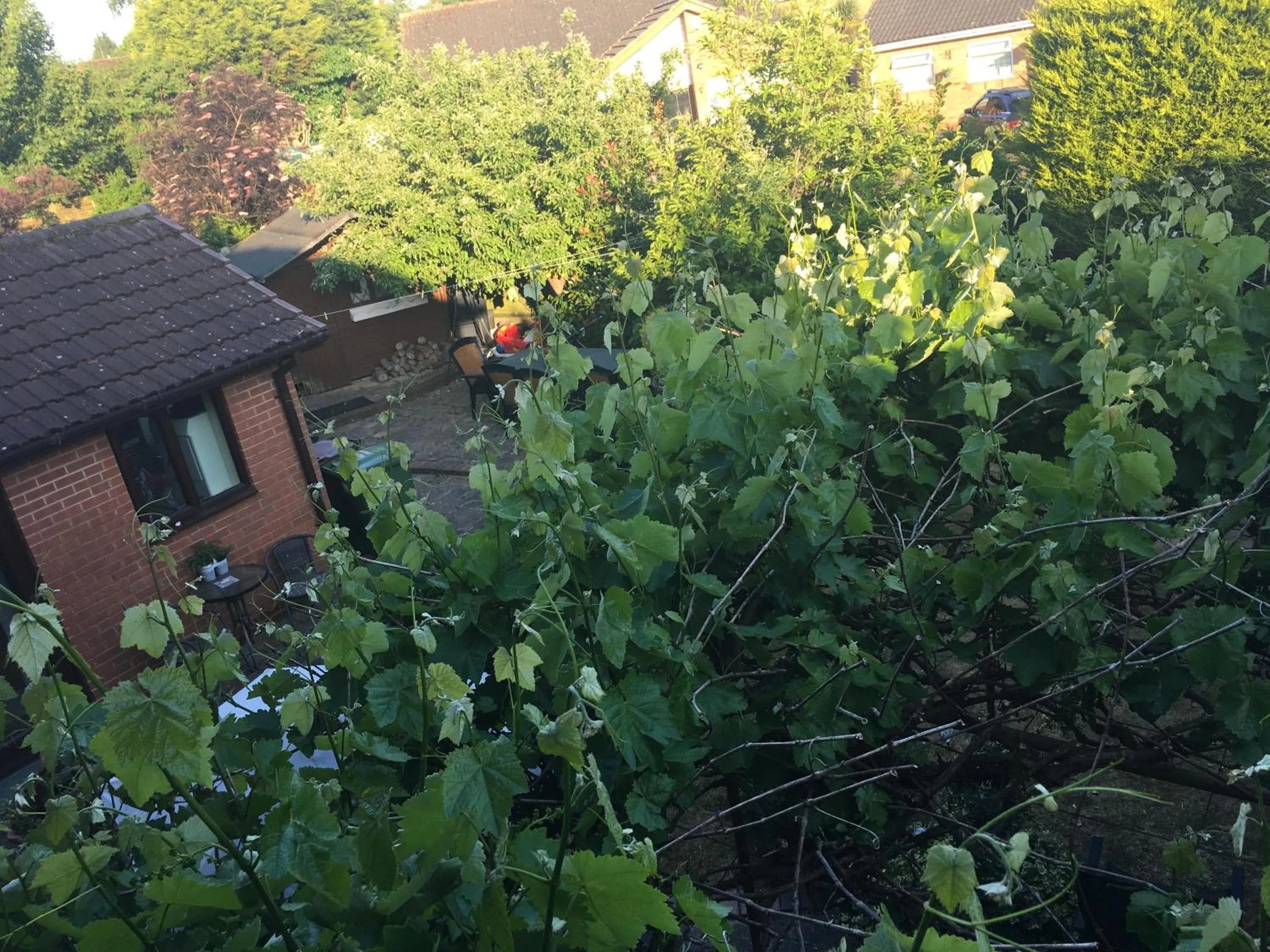 The Cedars House B&B