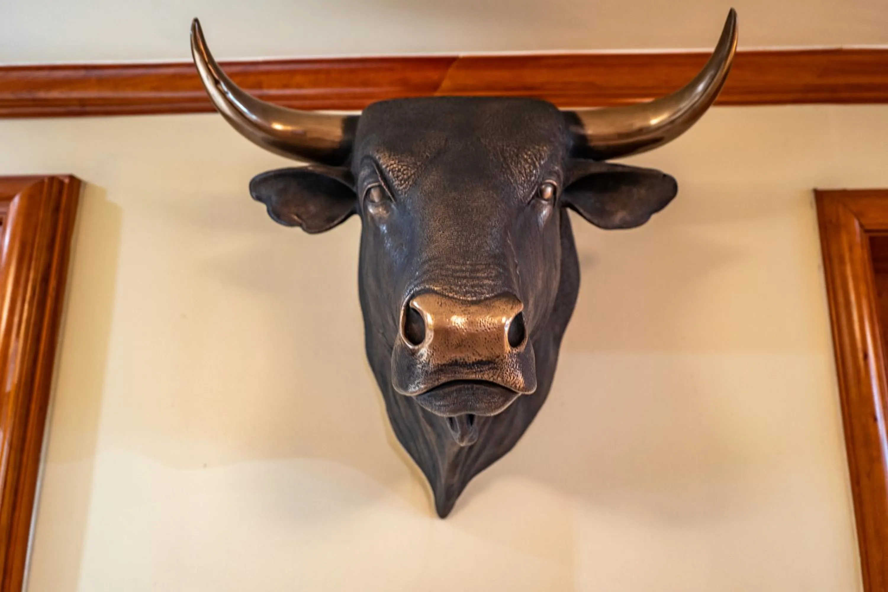 Dinner in Apollo Hotel