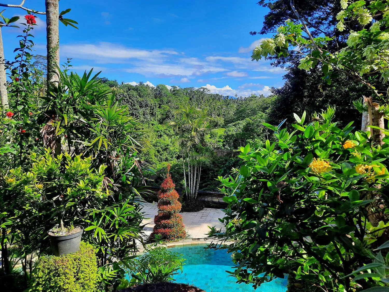 Pool view in Alam Indah Ubud