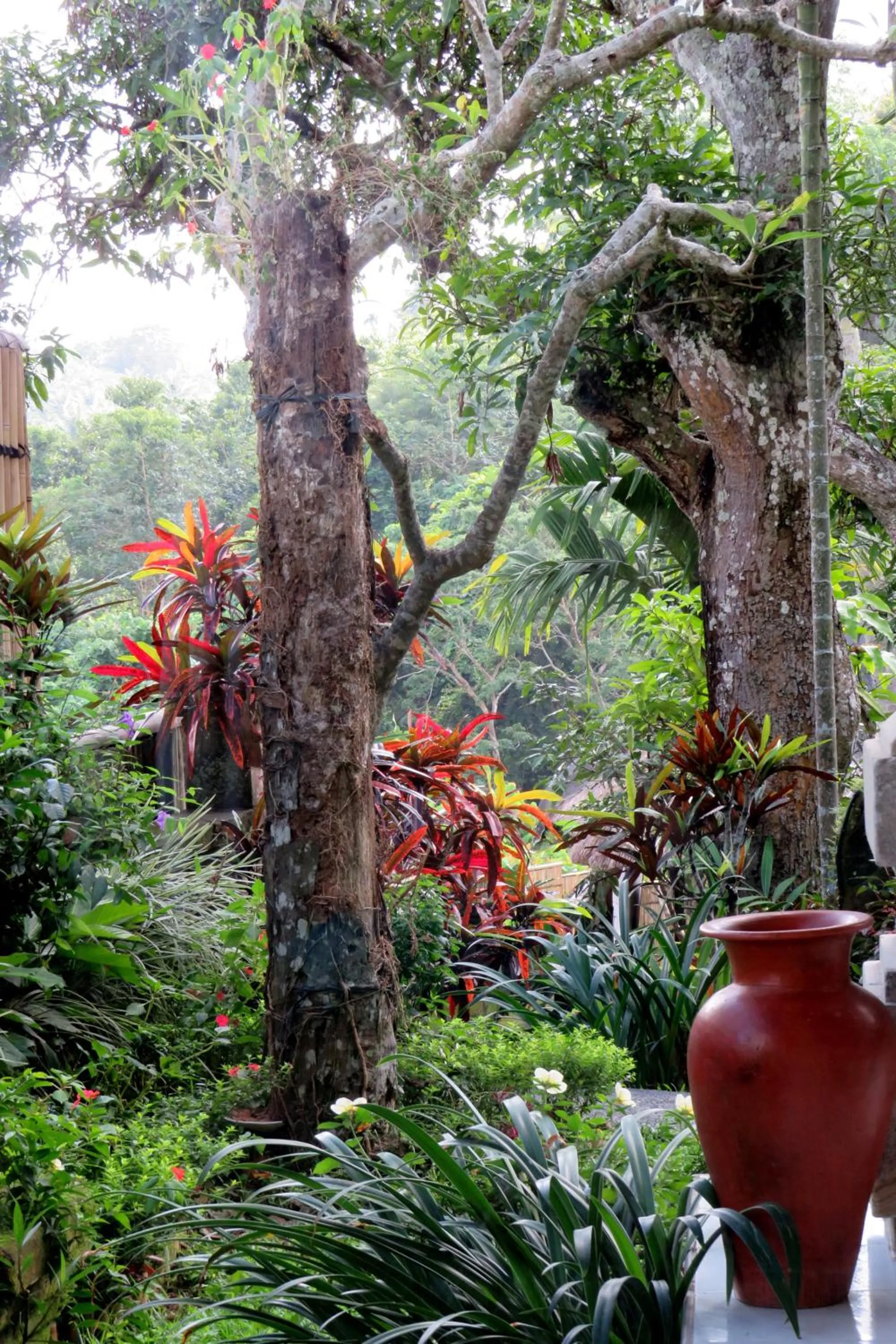 Garden in Alam Indah Ubud