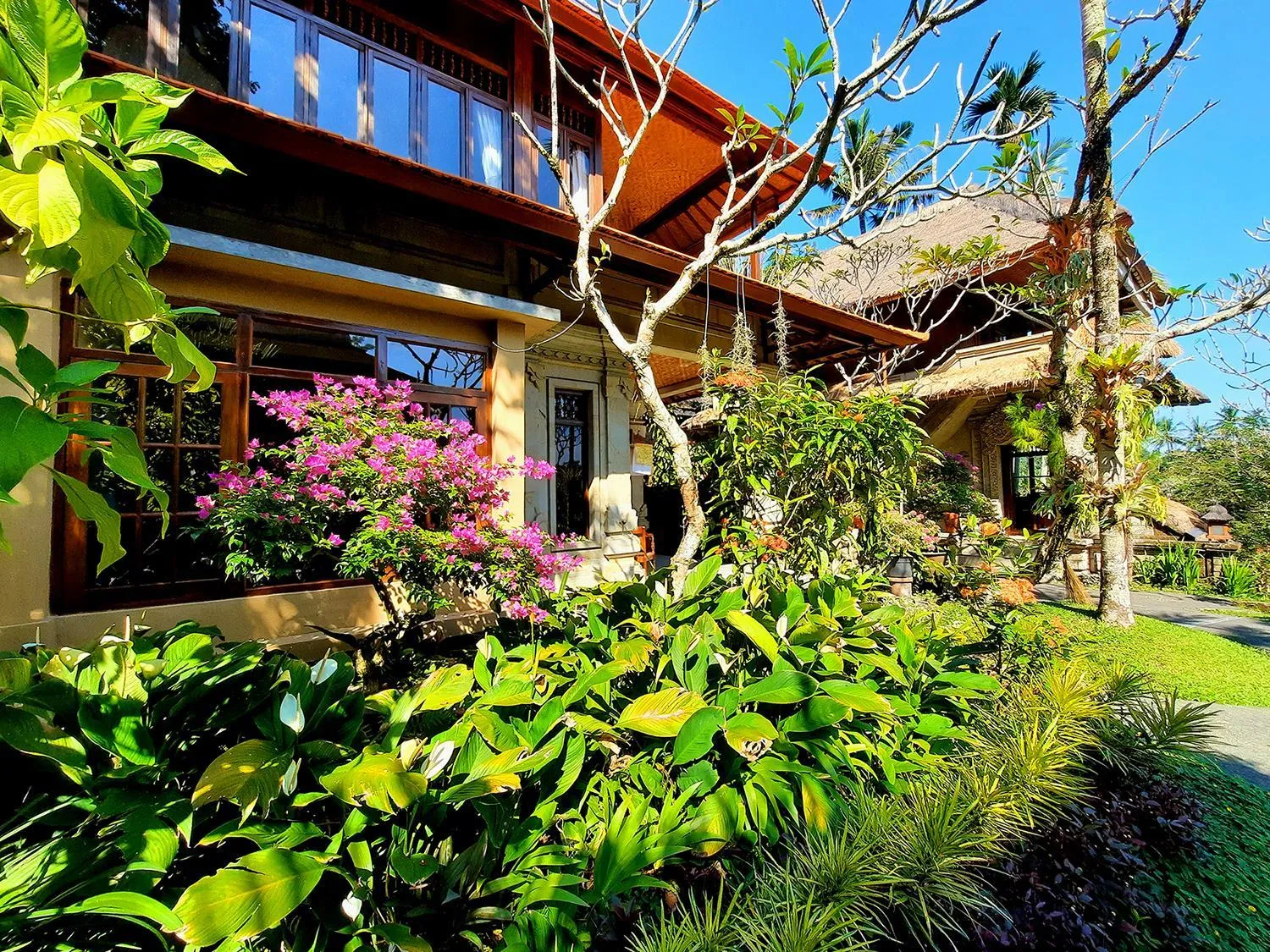 Garden in Alam Indah Ubud