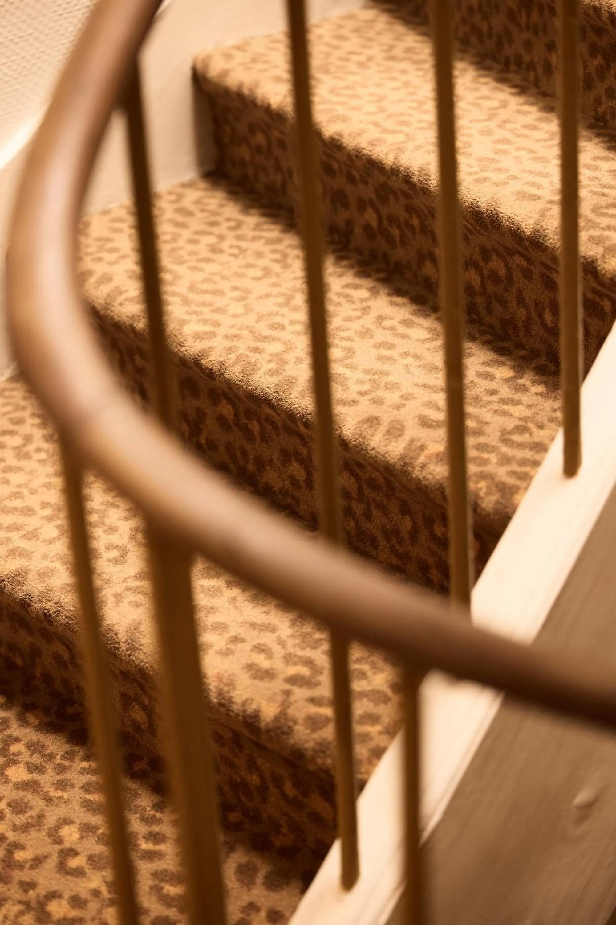 Photo of the whole room in Hôtel Henri IV