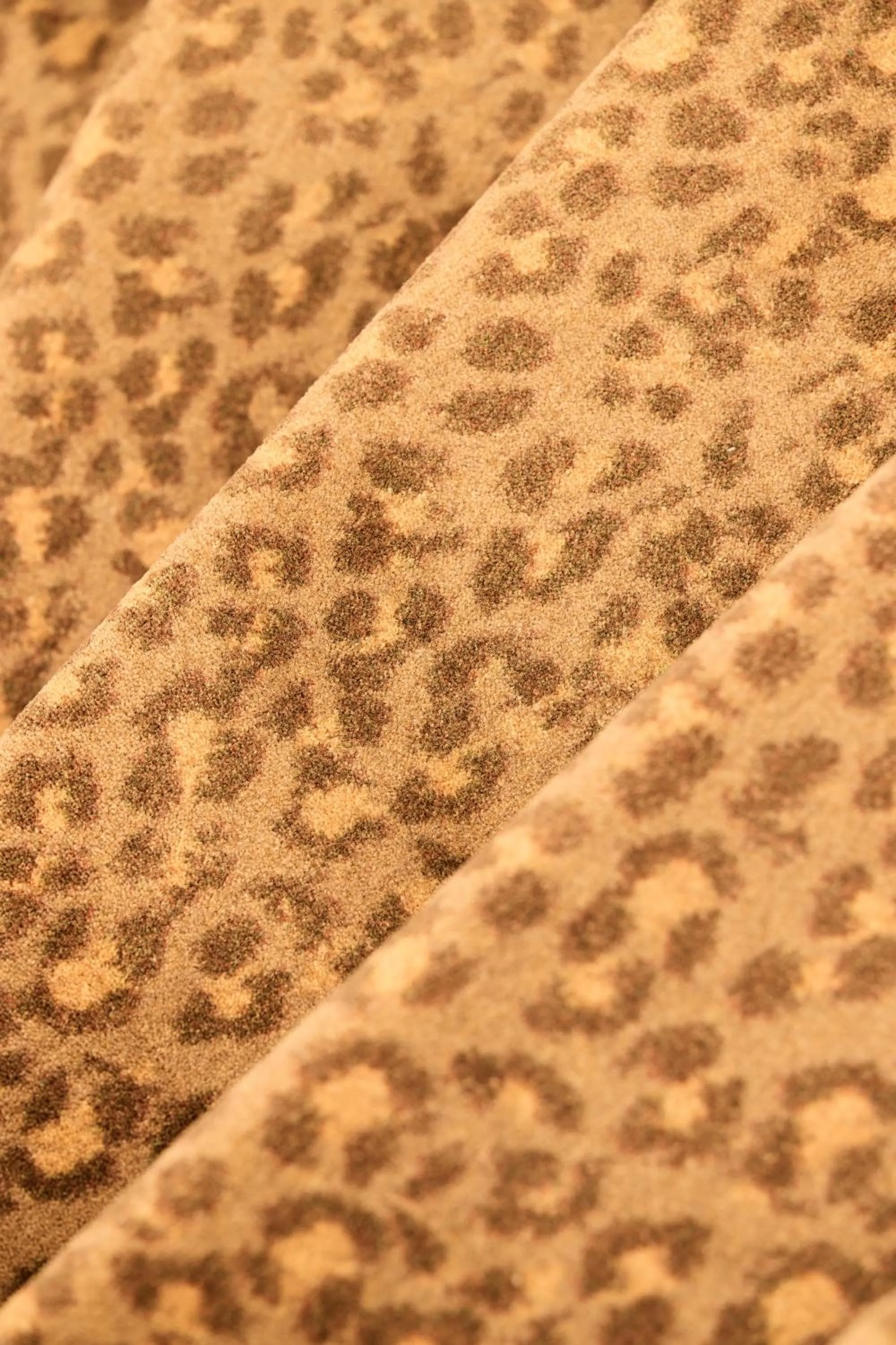 Photo of the whole room in Hôtel Henri IV