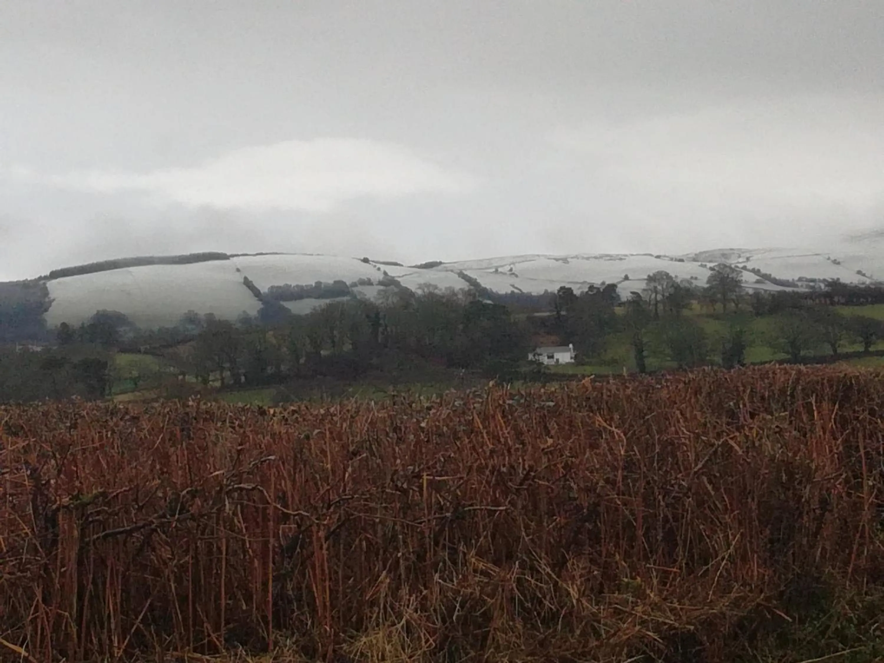 Mountain view in Ty Newydd