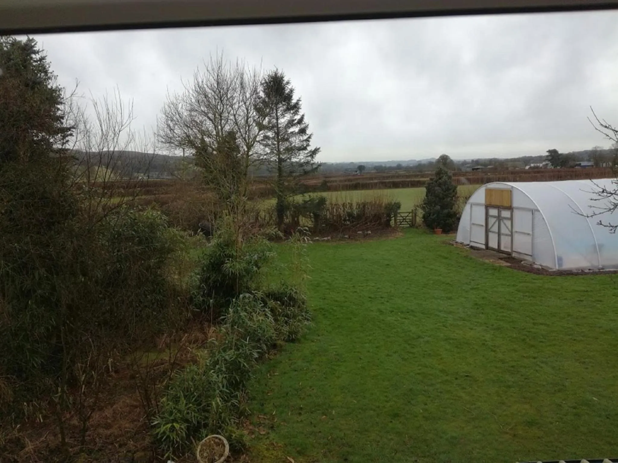 Garden view in Ty Newydd