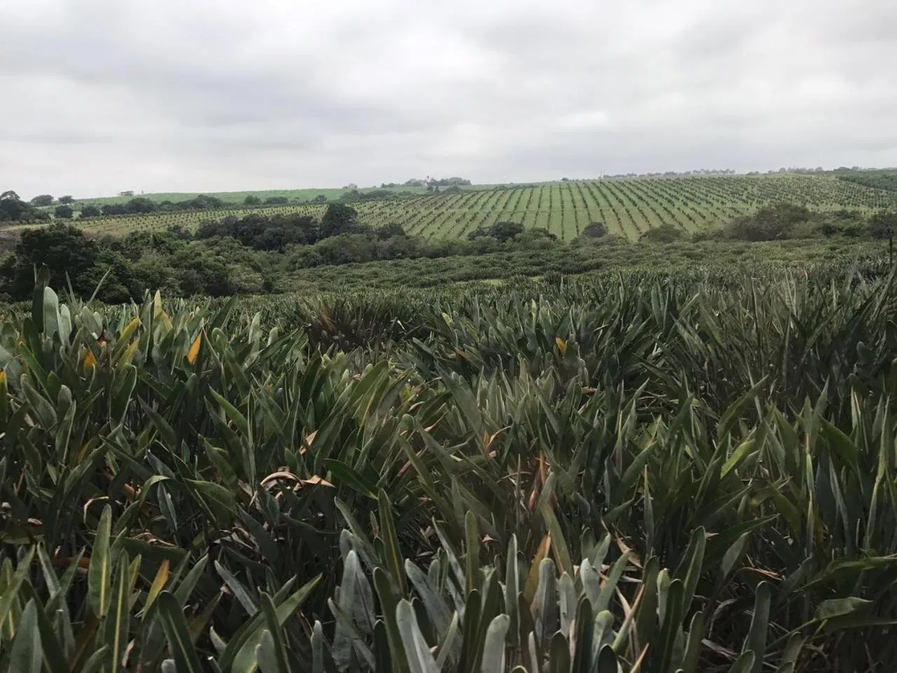 Other in Ulwazi Rock Lodge