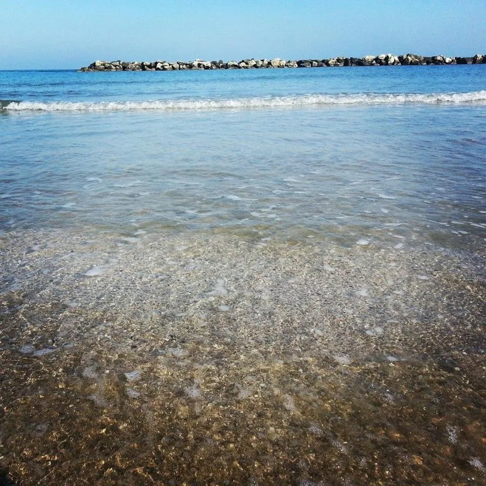 Spring in Hotel Della Motta