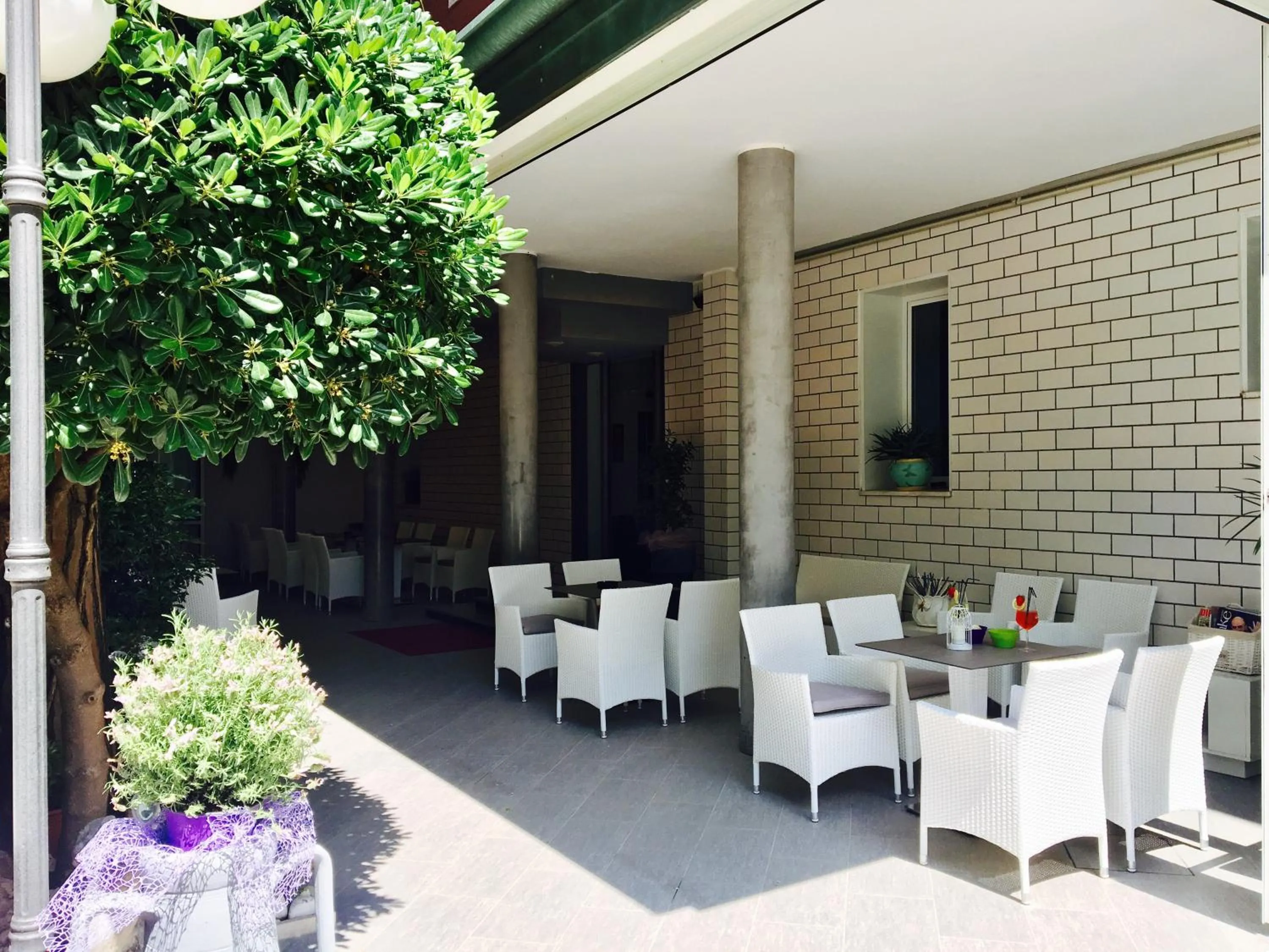 Garden in Hotel Della Motta